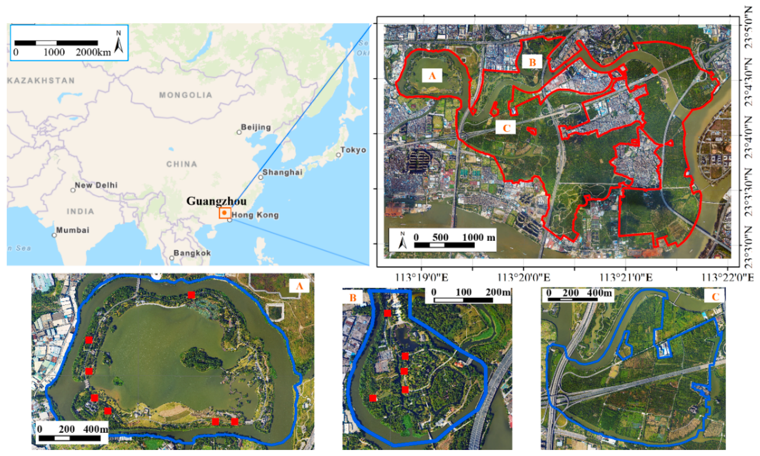 Forests 10 01047 g001