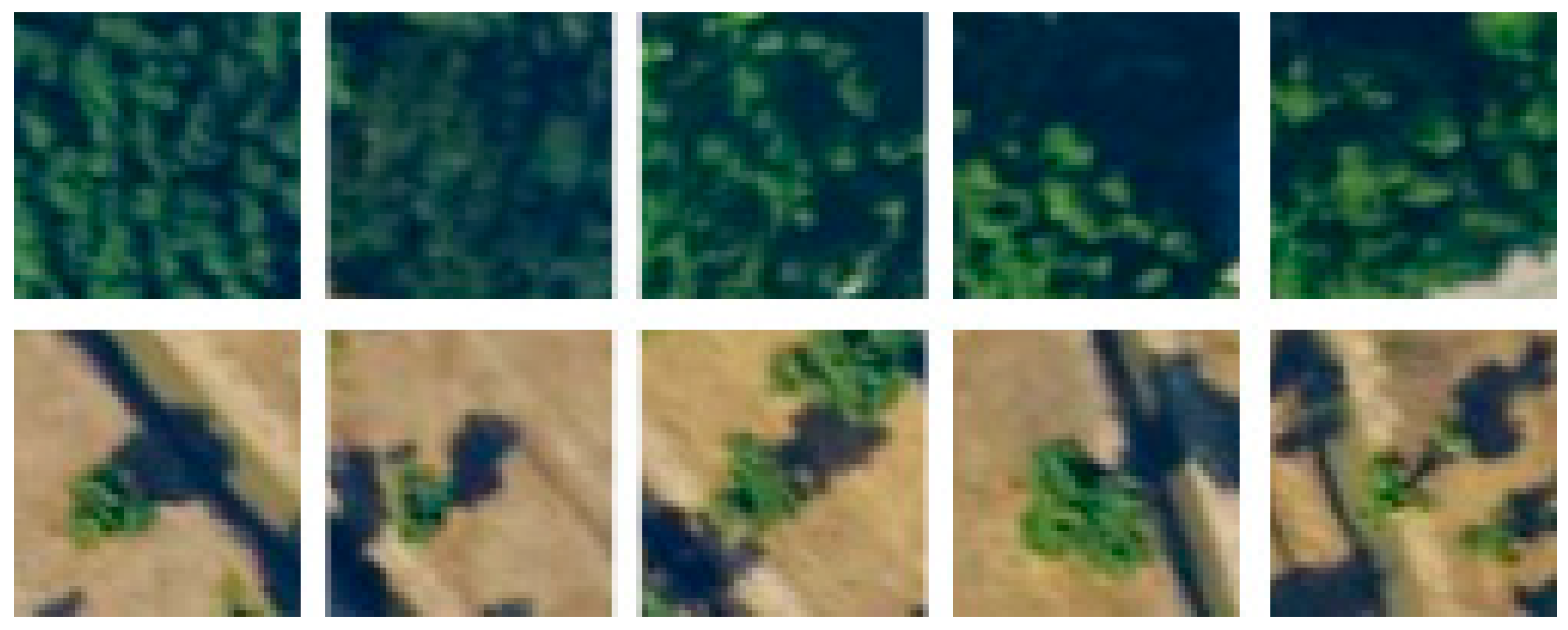 Forests 10 01047 g008