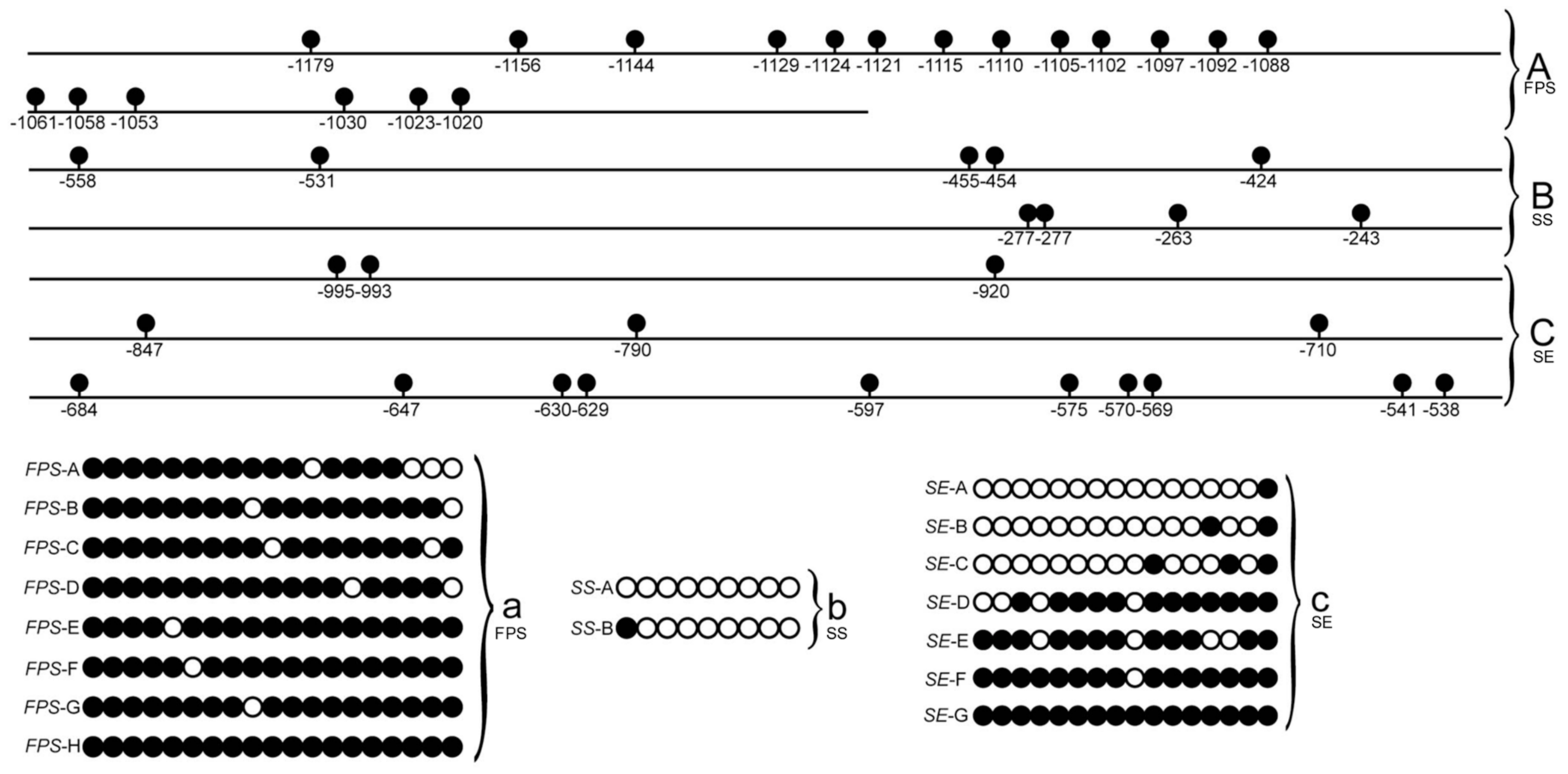 Forests 10 01053 g001