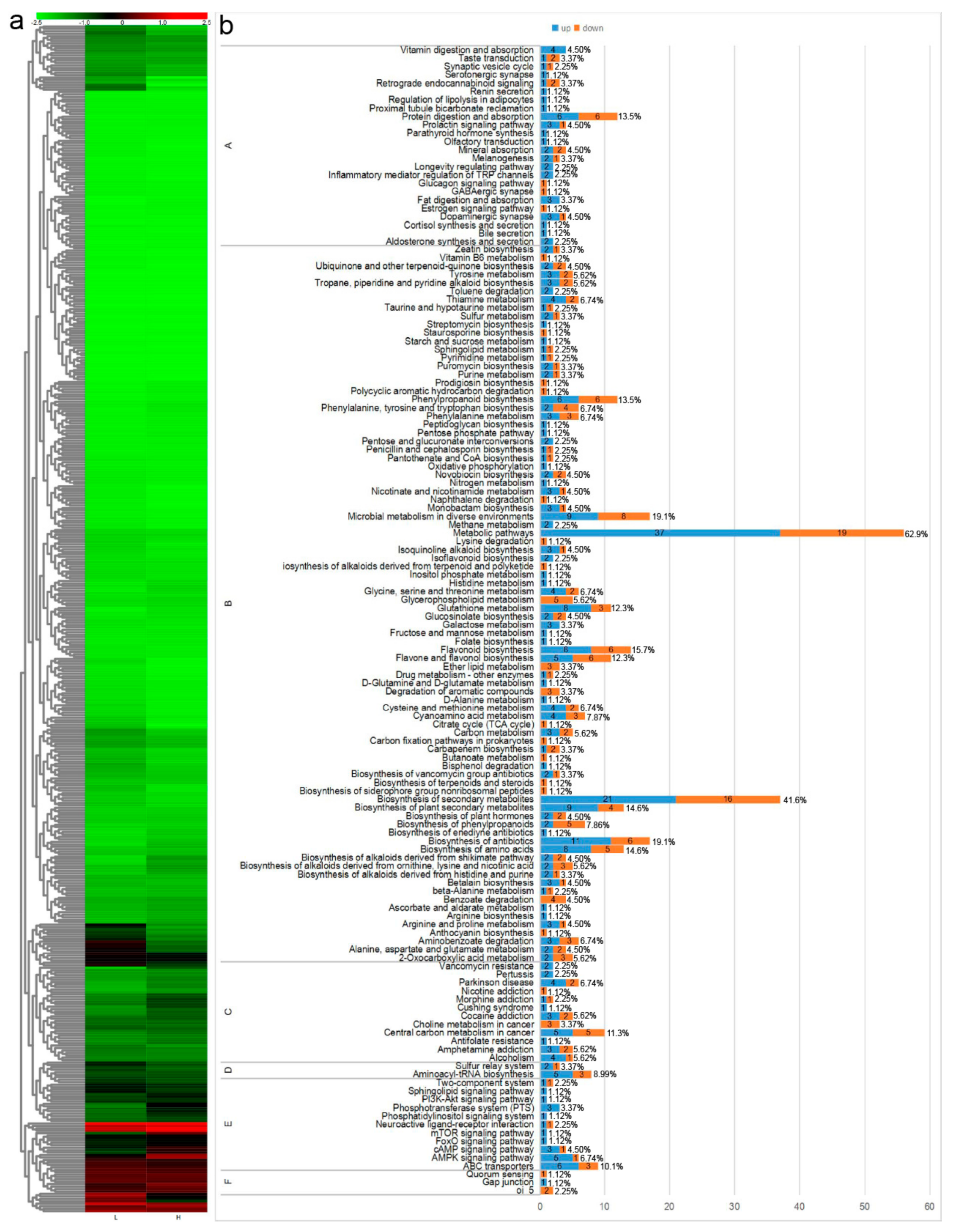 Forests 10 01053 g003