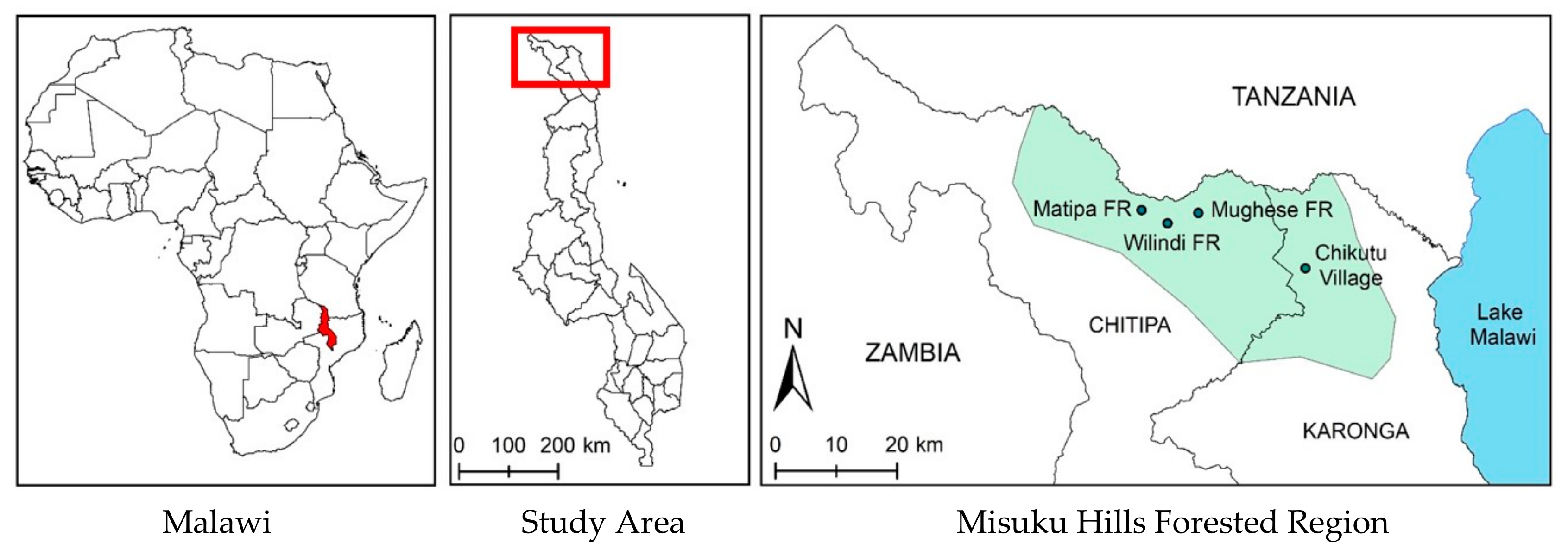 Forests 10 01056 g002