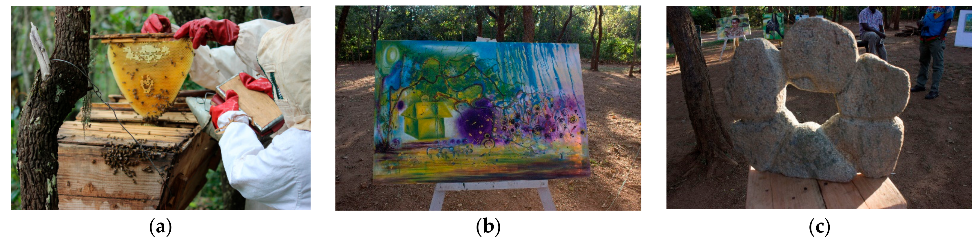 Forests 10 01056 g004