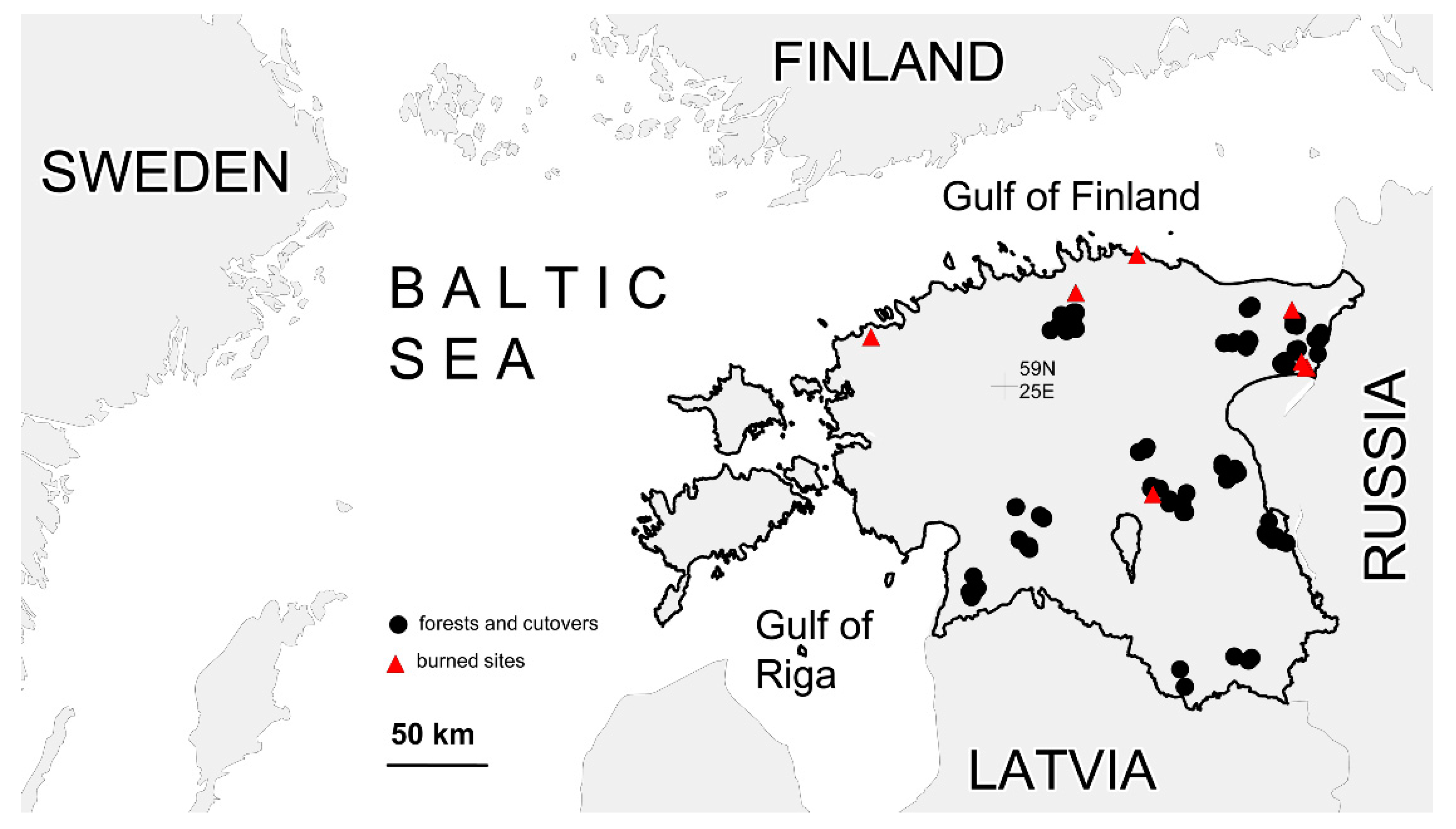 Forests 10 01063 g001