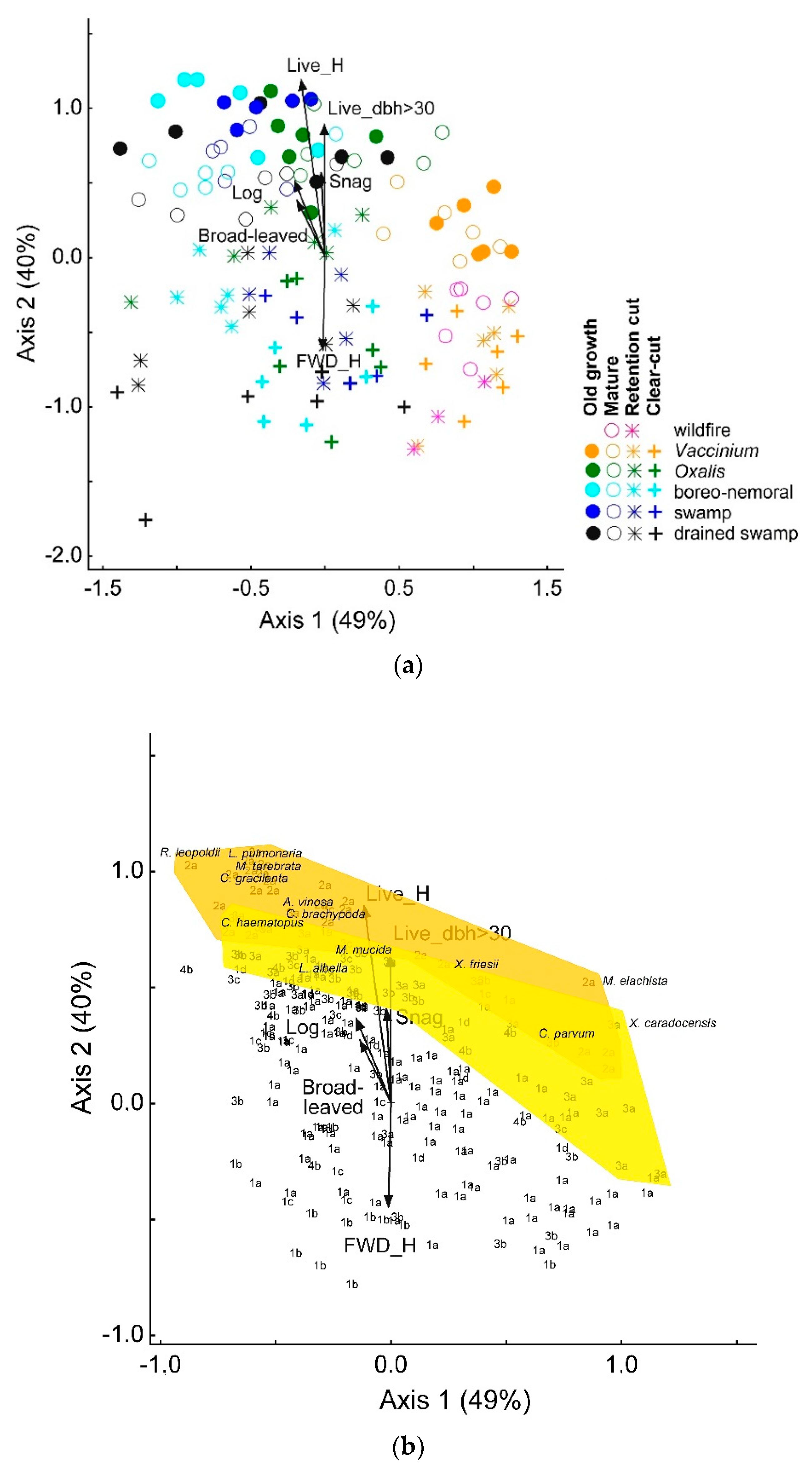 Forests 10 01063 g005