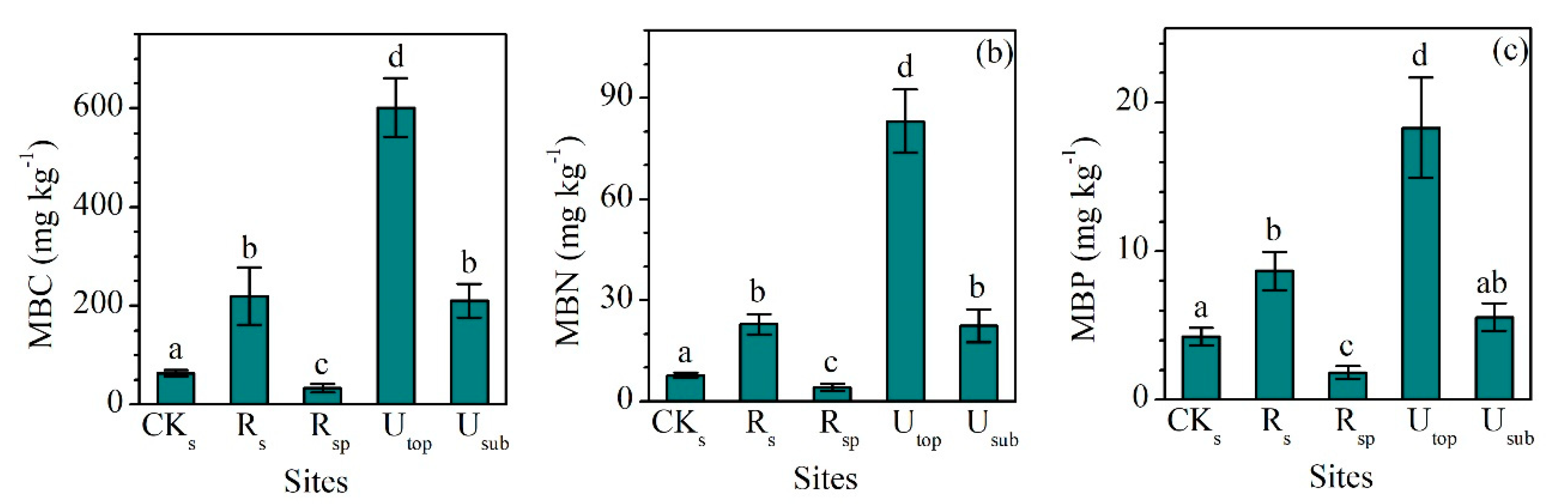 Forests 10 01069 g004