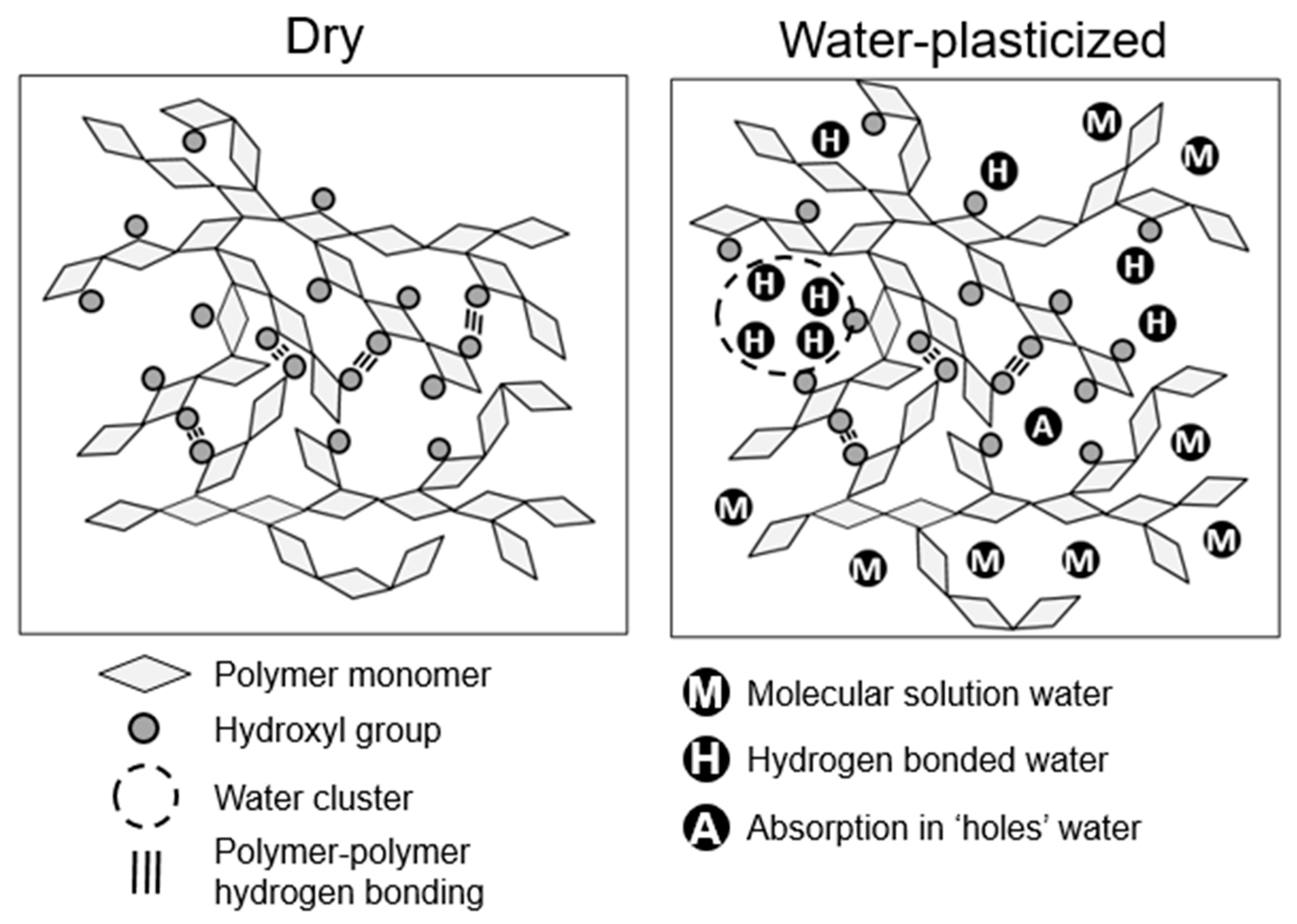 Forests 10 01084 g002