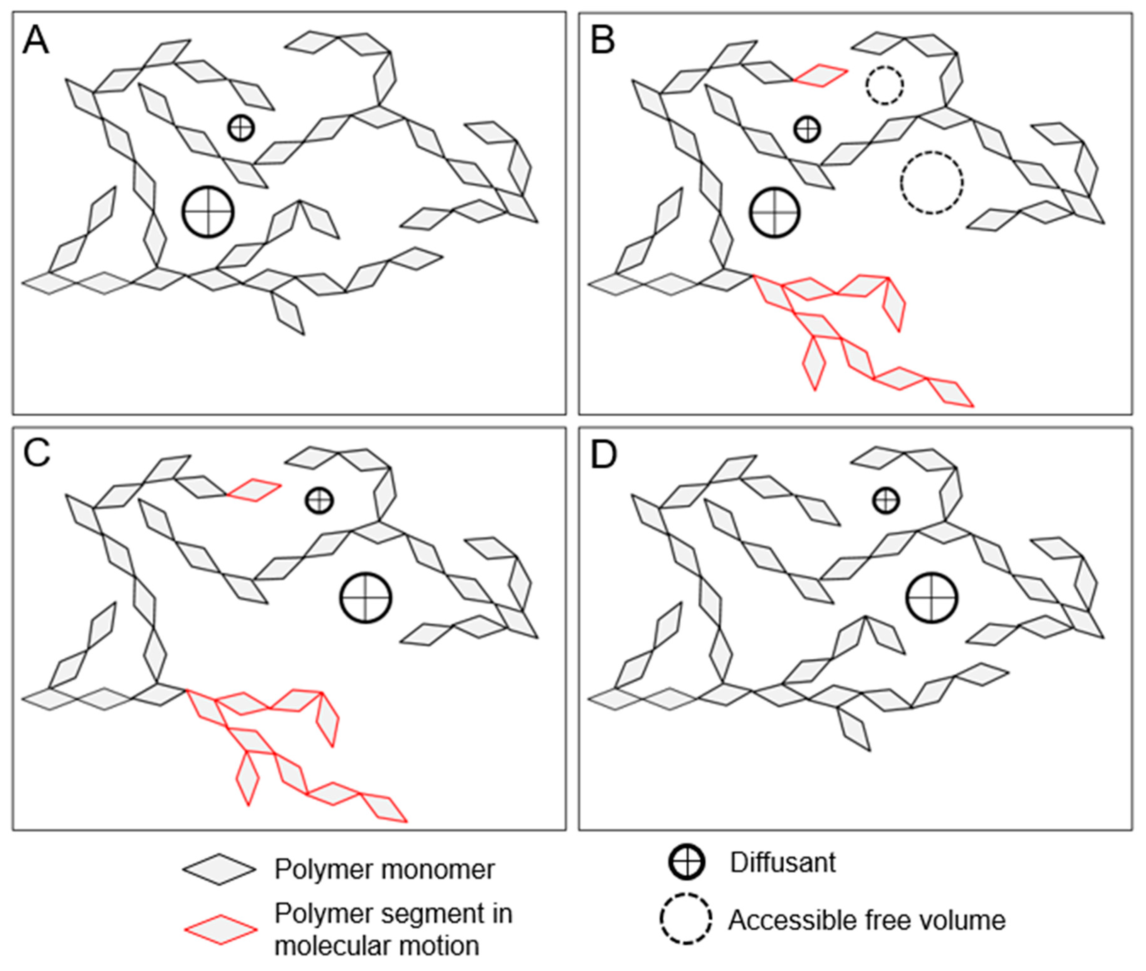 Forests 10 01084 g003