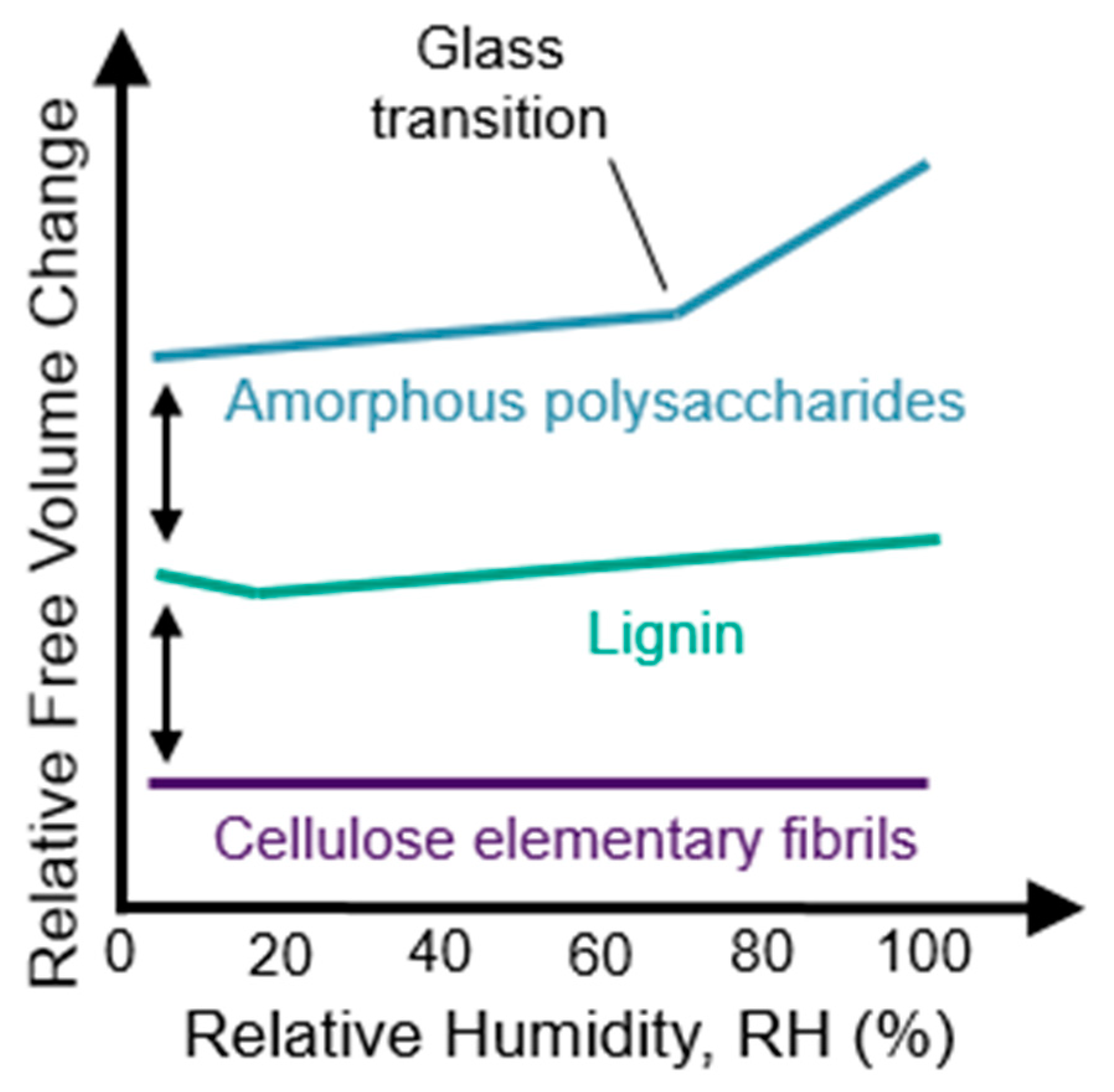 Forests 10 01084 g007