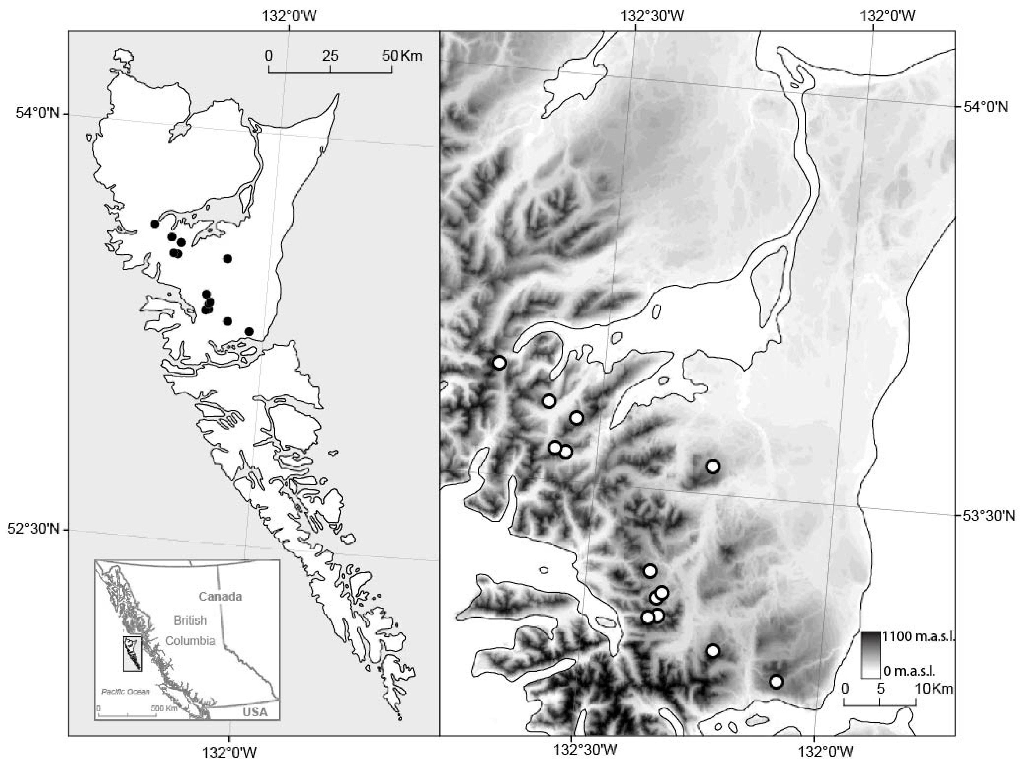 Forests 10 01085 g001