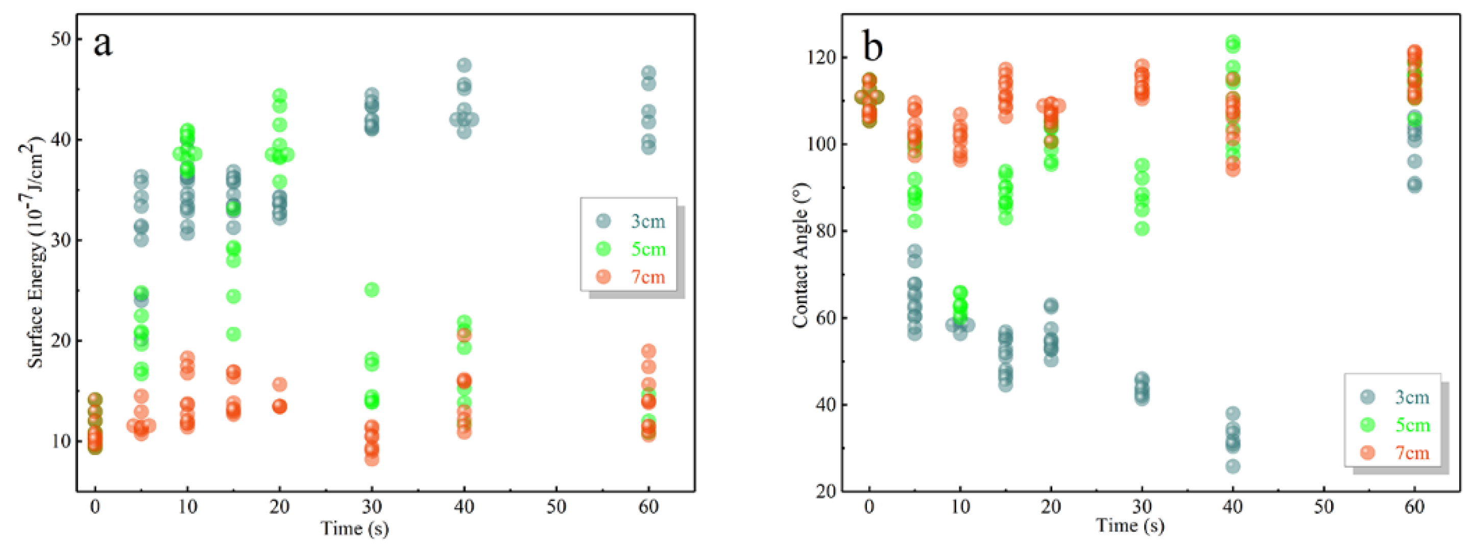 Forests 10 01086 g002 Forests 10 01086 g002