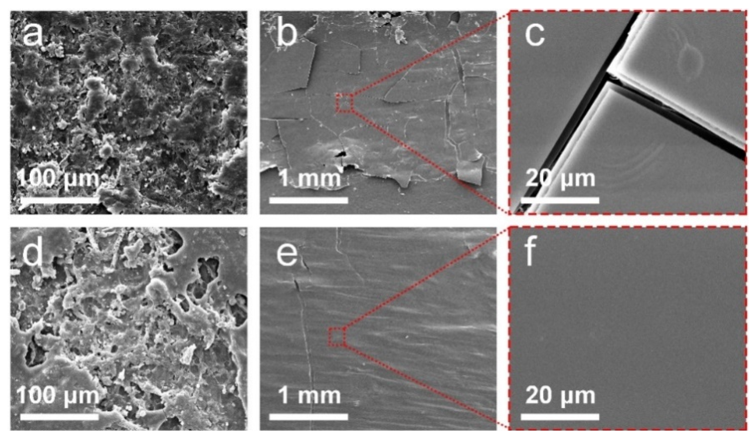 Forests 10 01086 g004 Forests 10 01086 g004