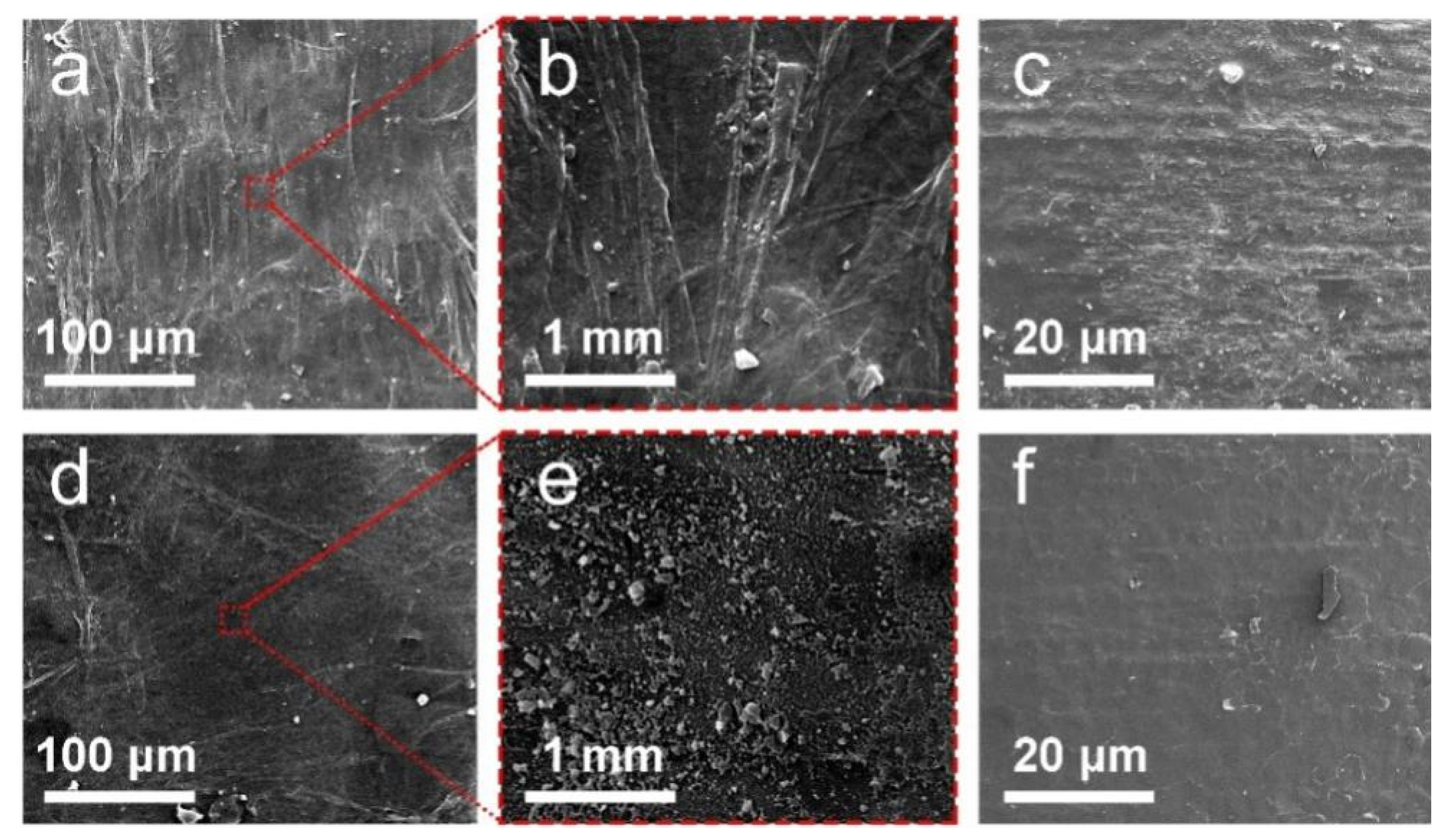 Forests 10 01086 g005 Forests 10 01086 g005