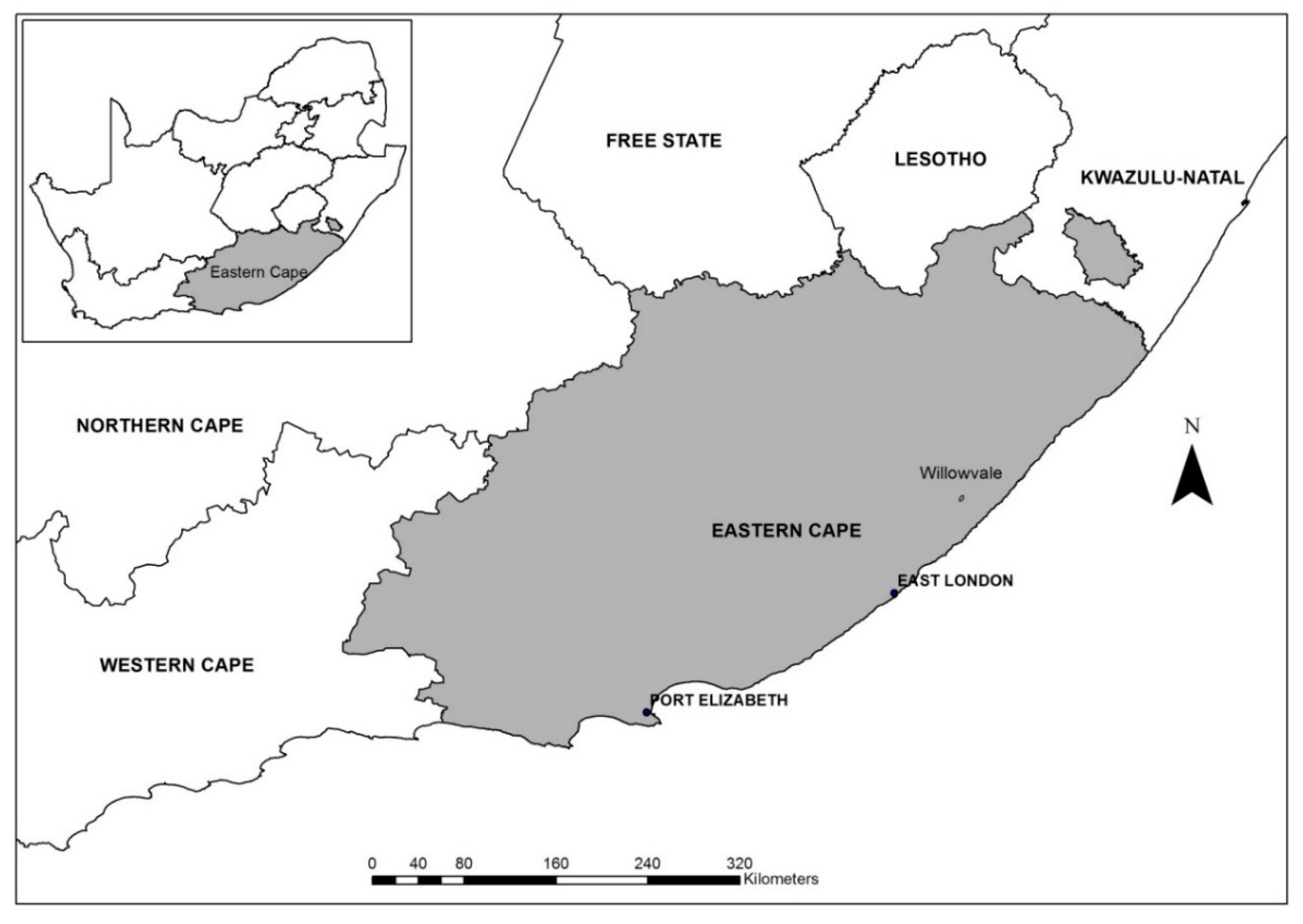 Forests 10 01093 g001 Forests 10 01093 g001