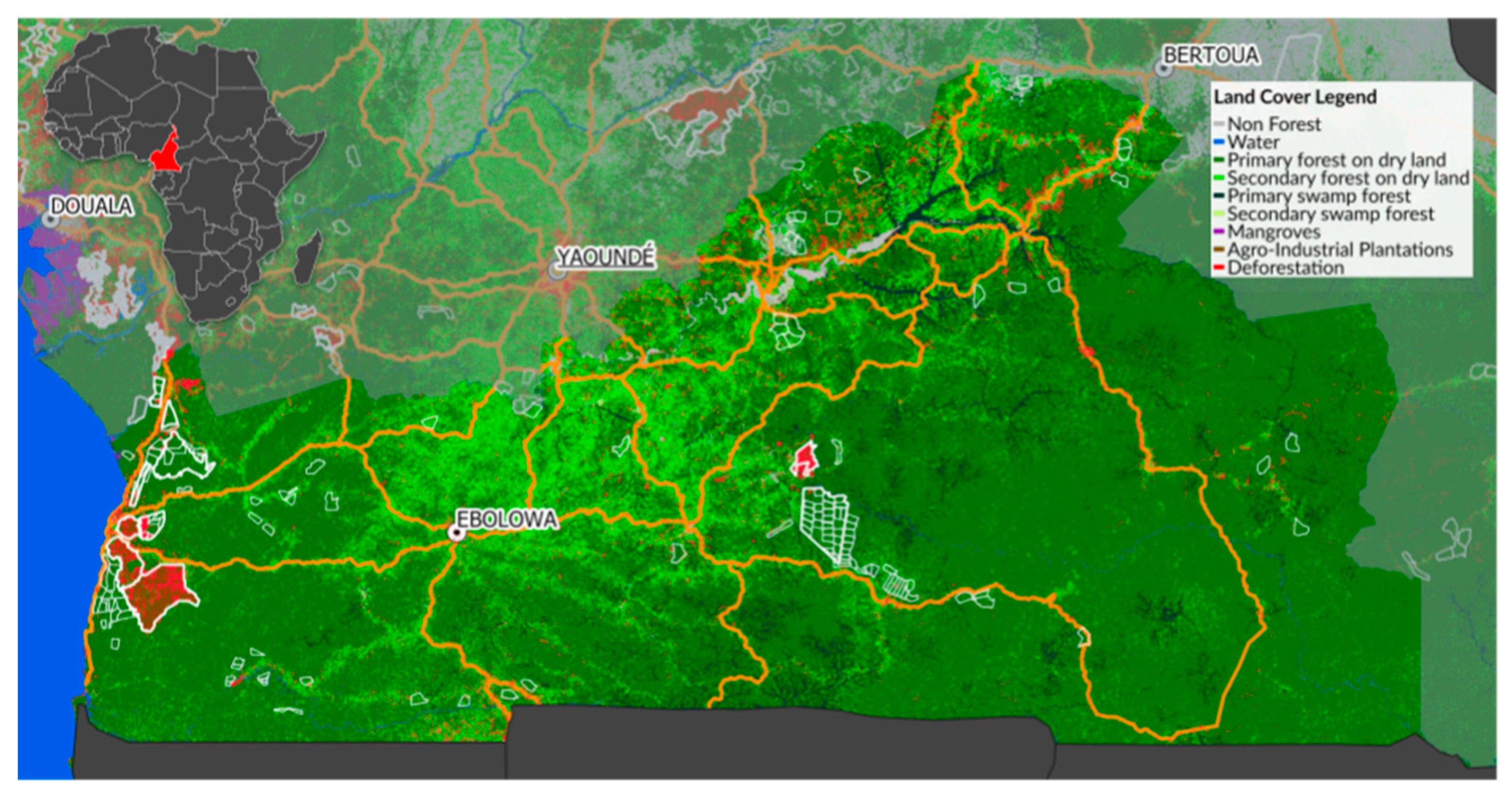 Forests 10 01095 g001 Forests 10 01095 g001