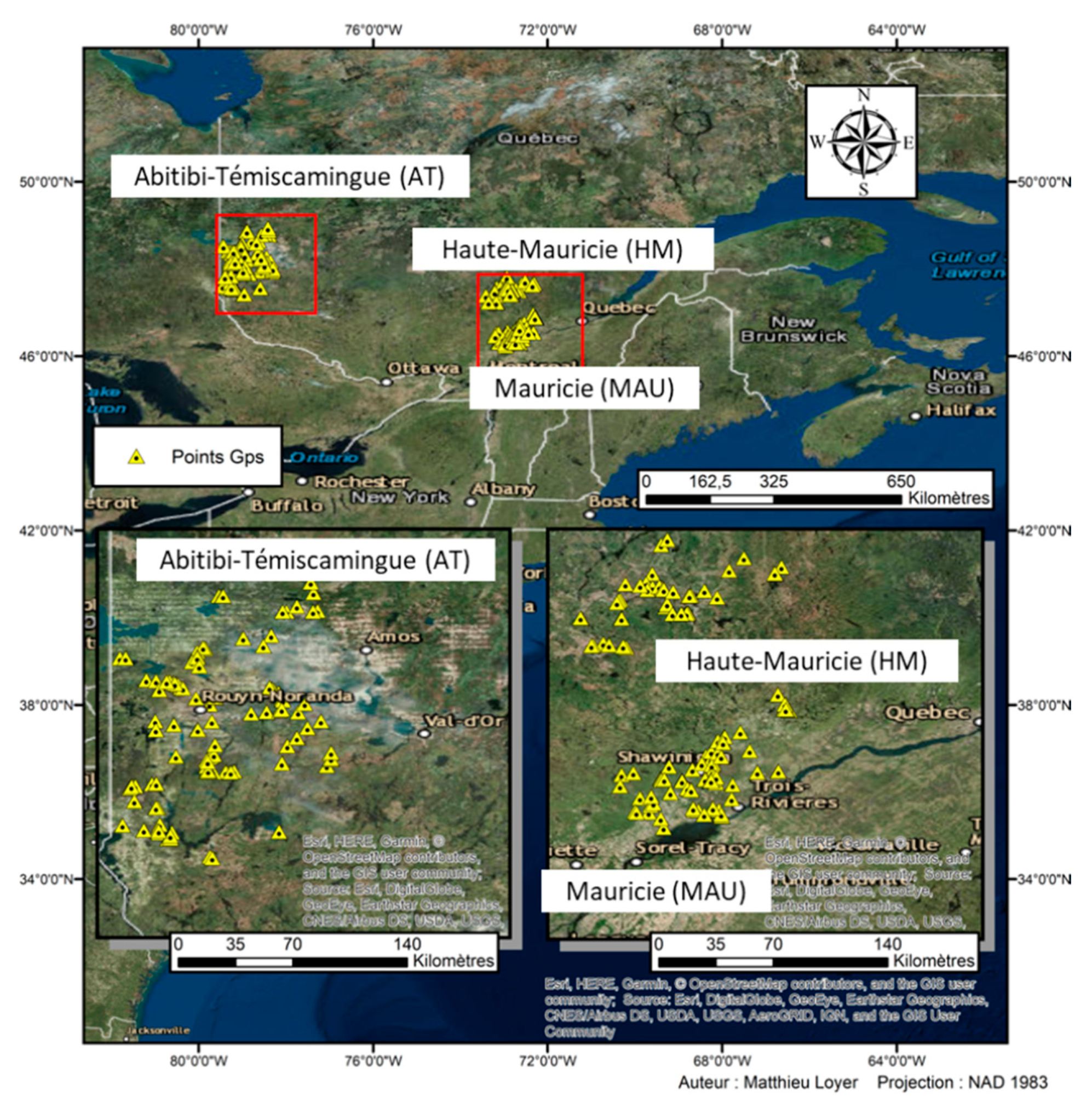 Forests 10 01096 g001