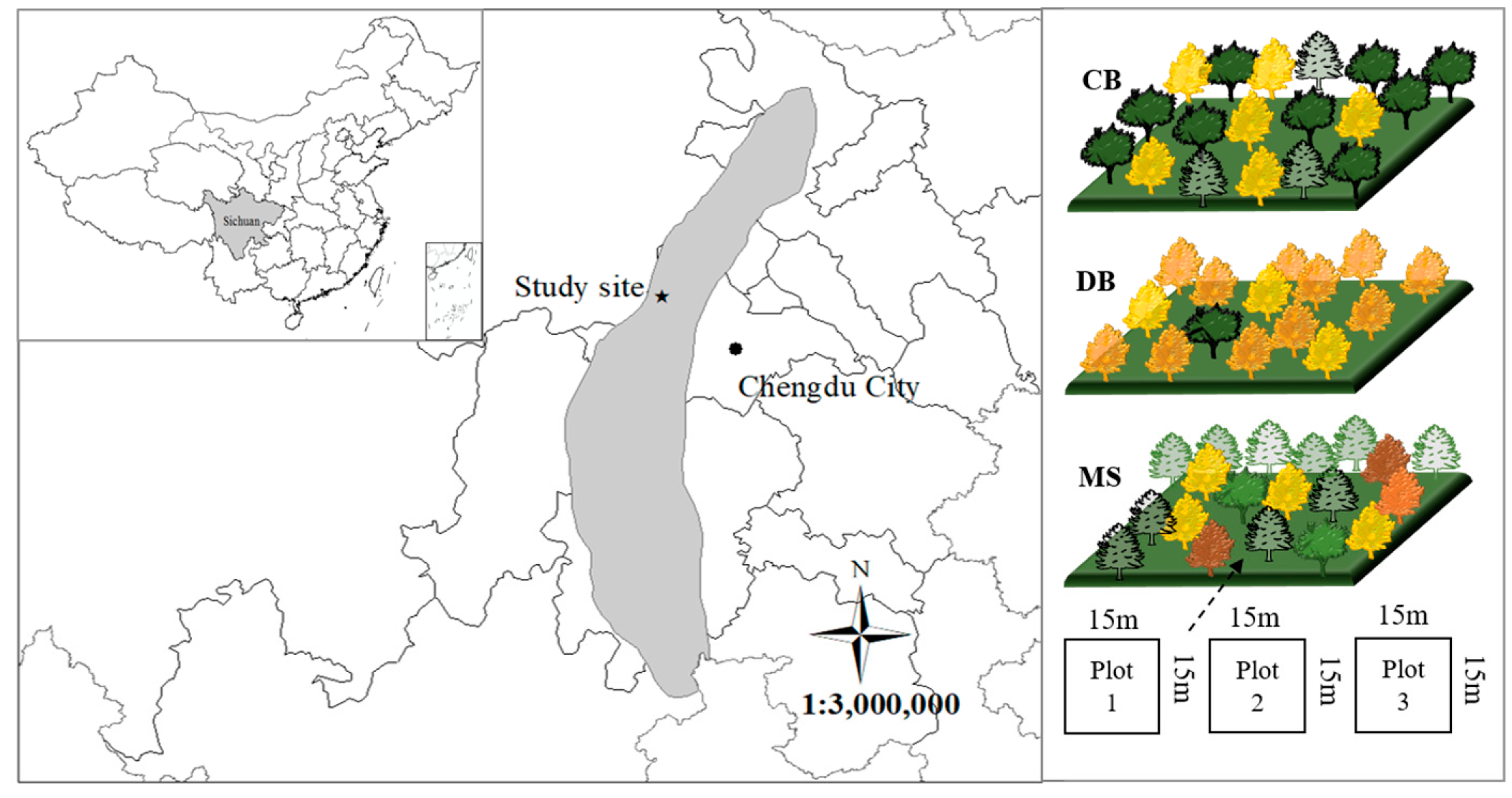 Forests 10 01101 g002