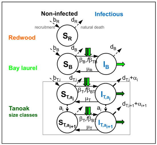 Forests 10 01103 g0a1