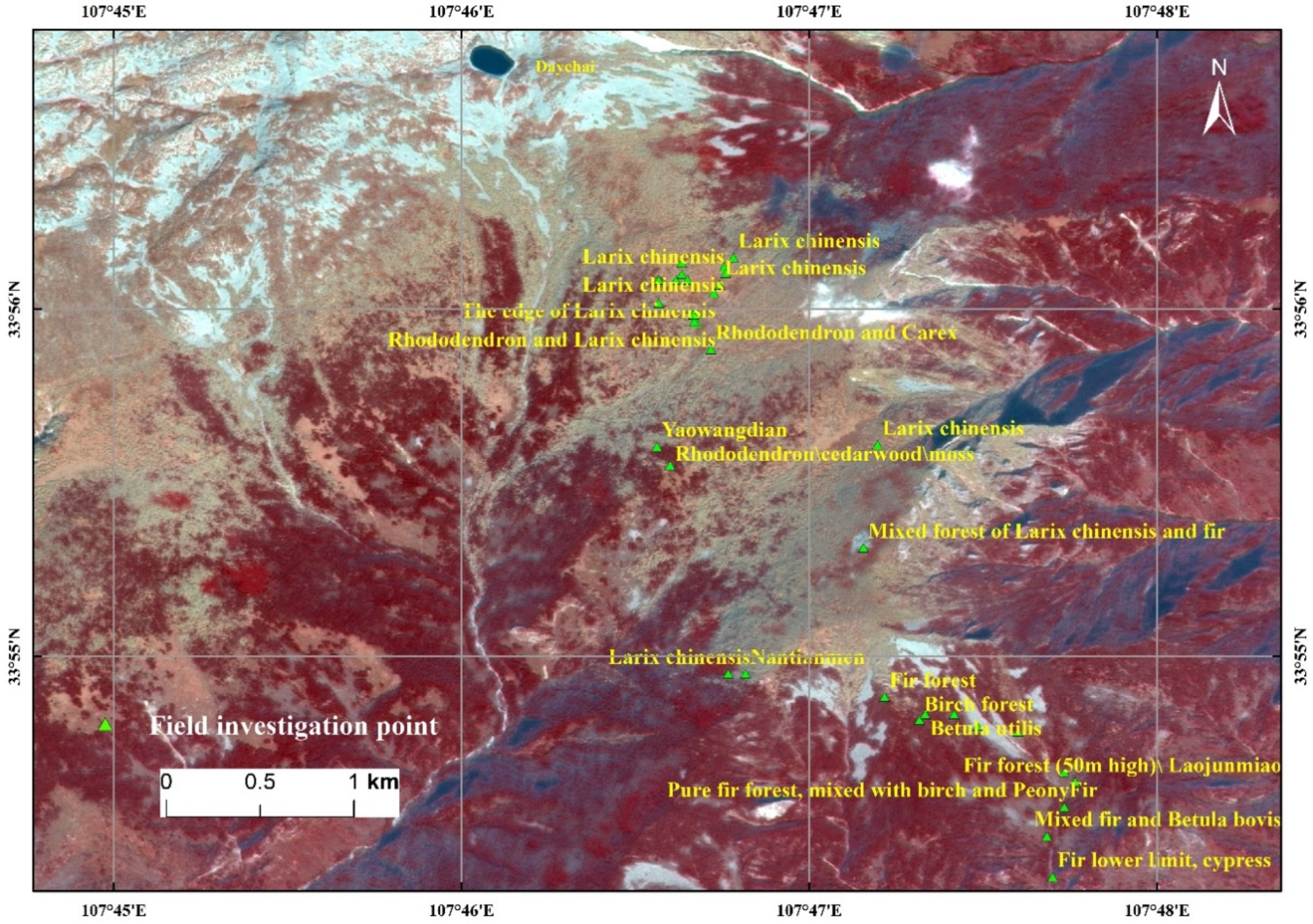 Forests 10 01105 g002 Forests 10 01105 g002