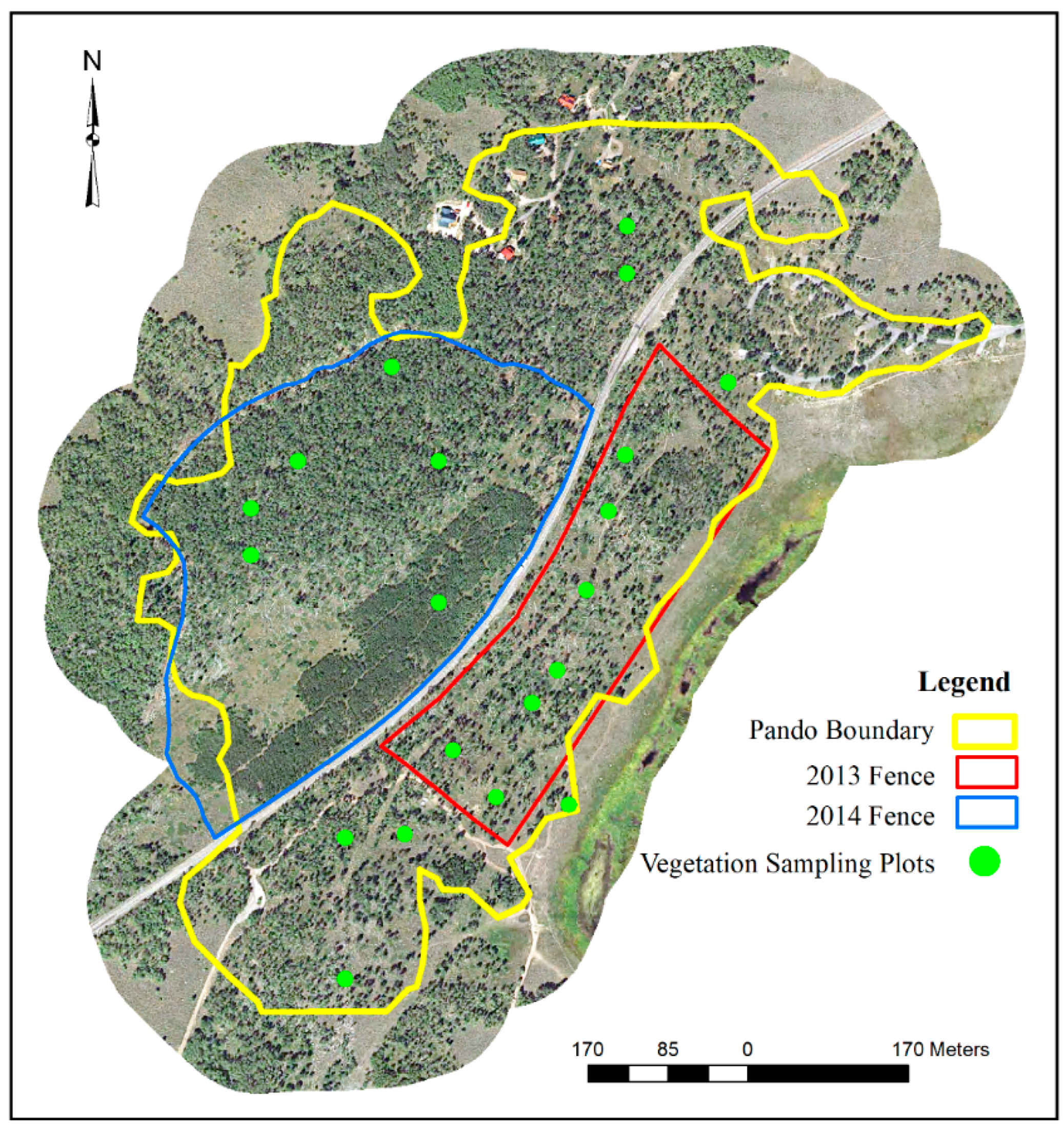 Forests 10 01118 g001
