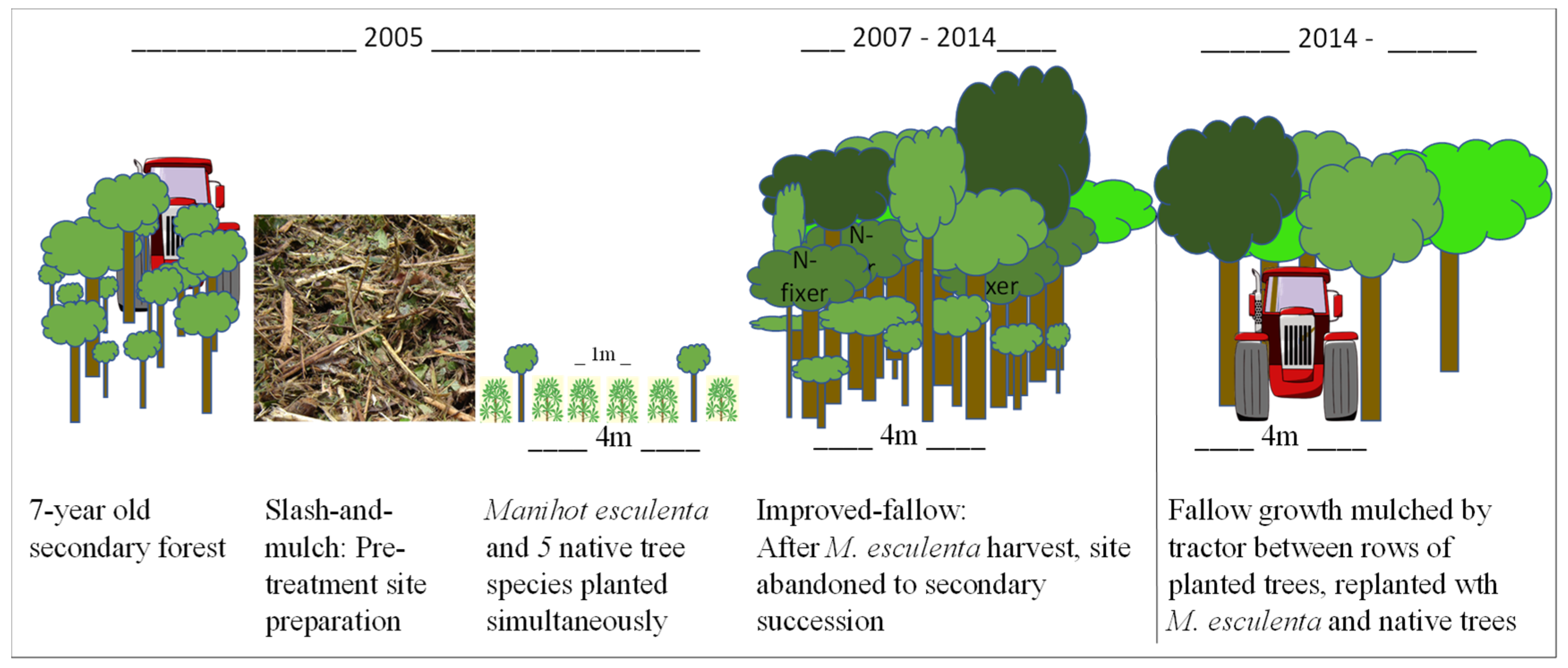 Forests 10 01125 g002