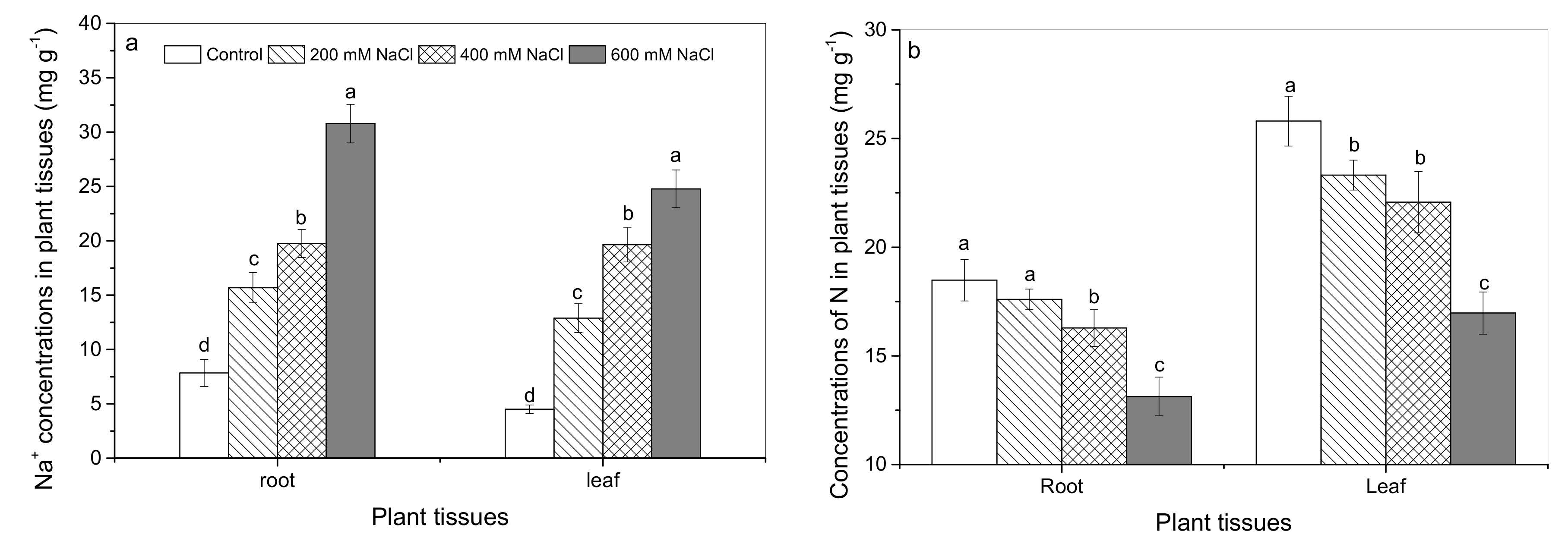 Forests 10 01131 g001