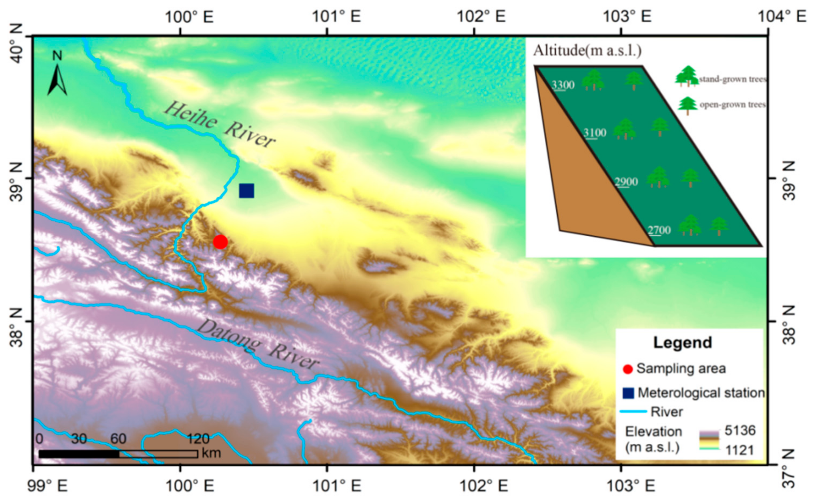 Forests 10 01133 g001