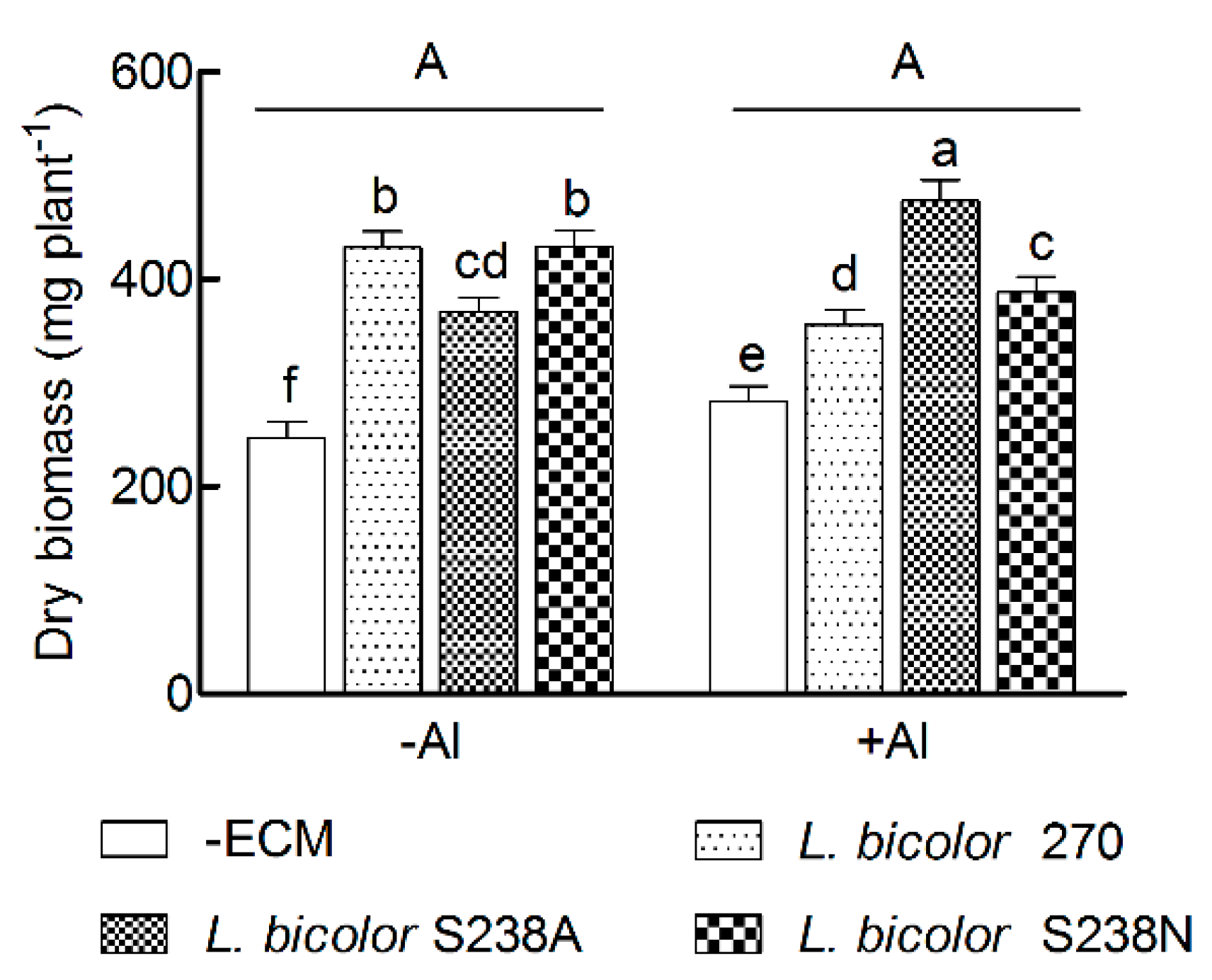 Forests 10 01153 g001
