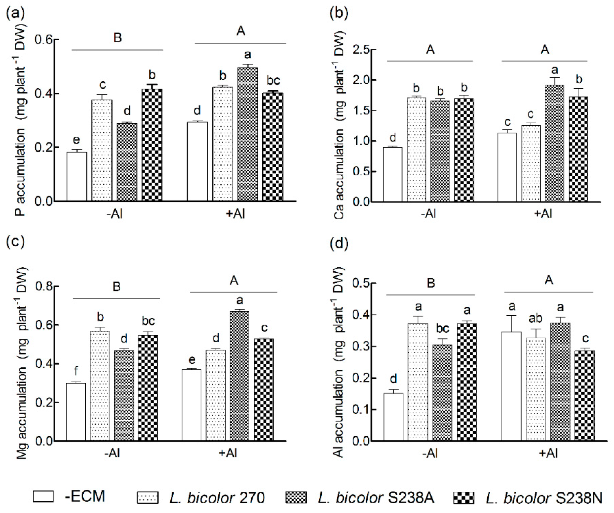 Forests 10 01153 g002