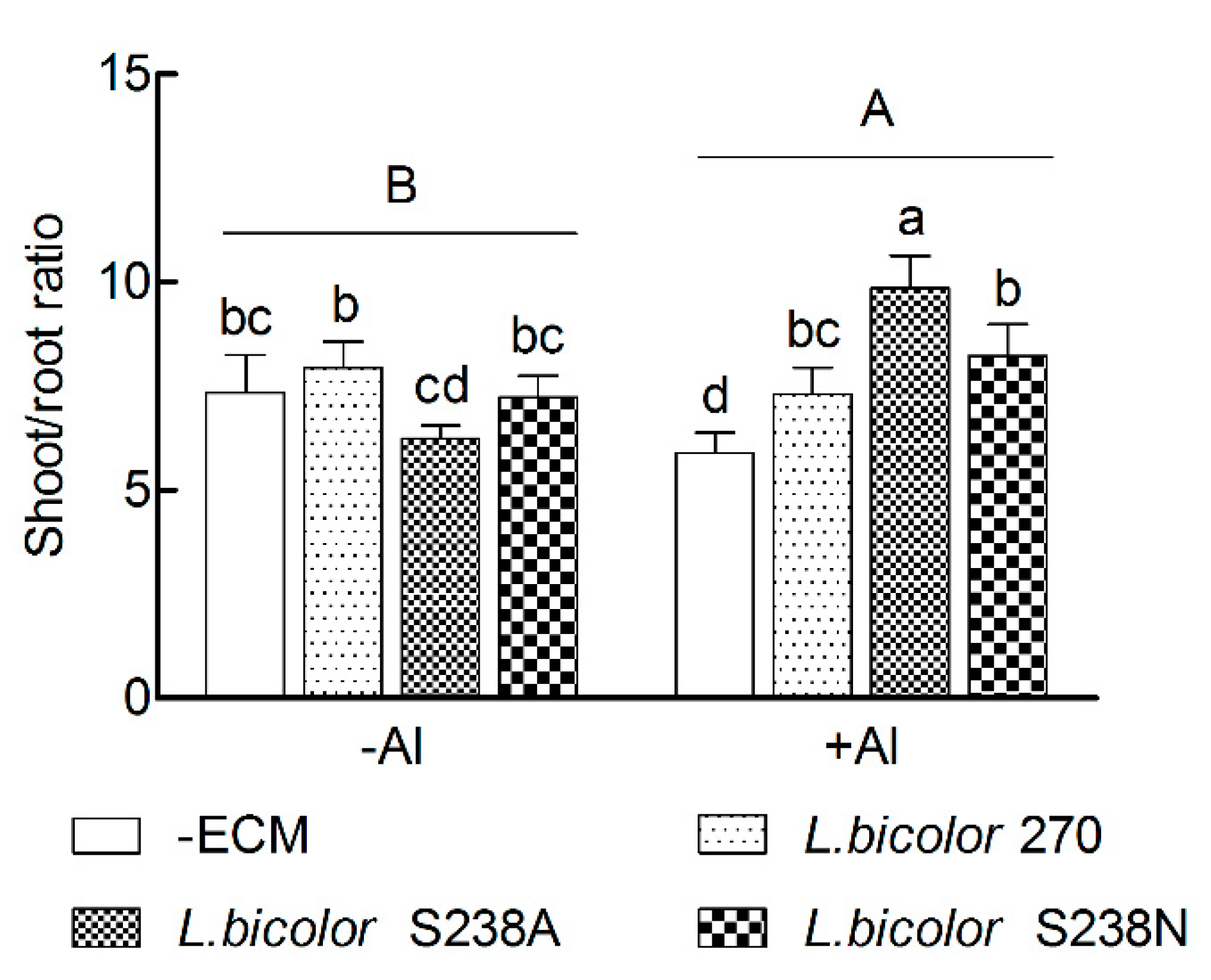 Forests 10 01153 g003