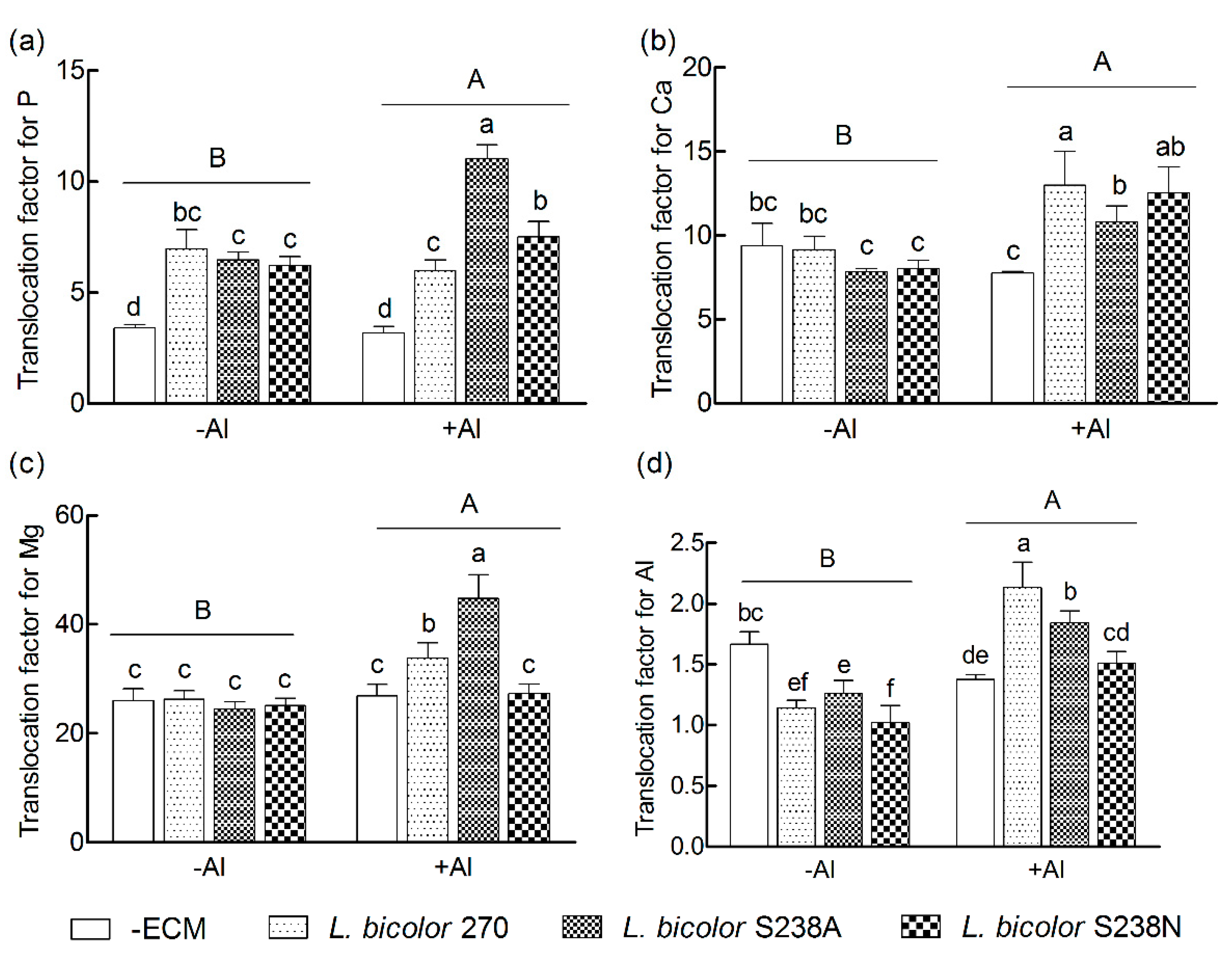 Forests 10 01153 g004