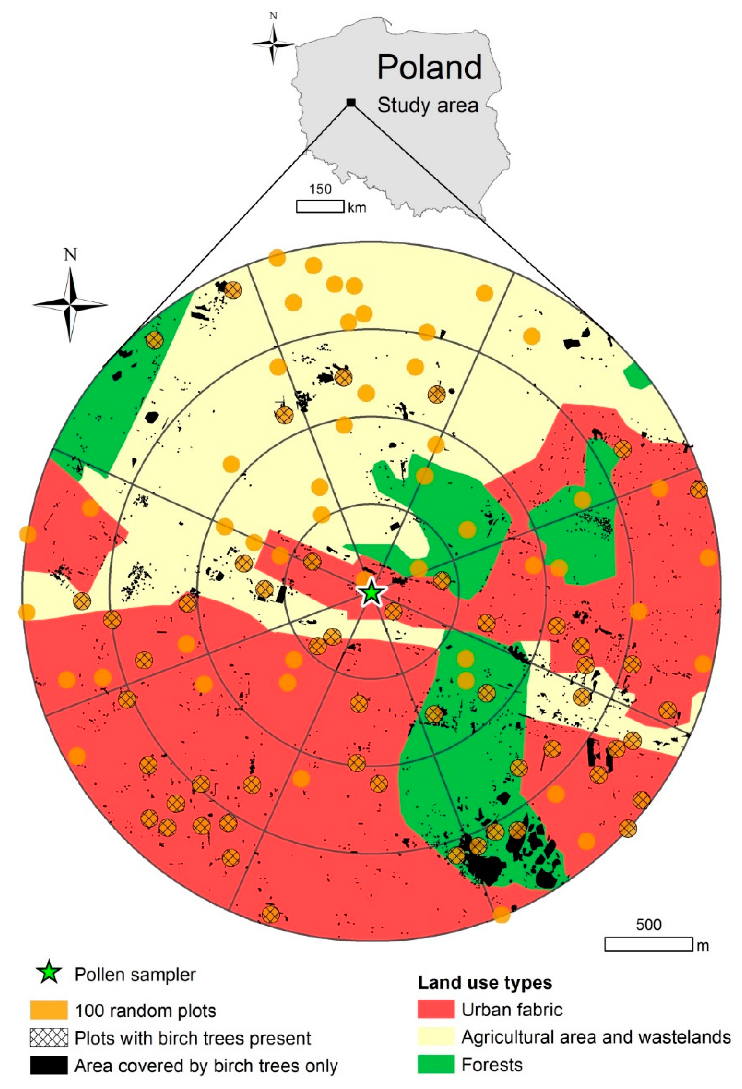 Forests 10 01154 g001