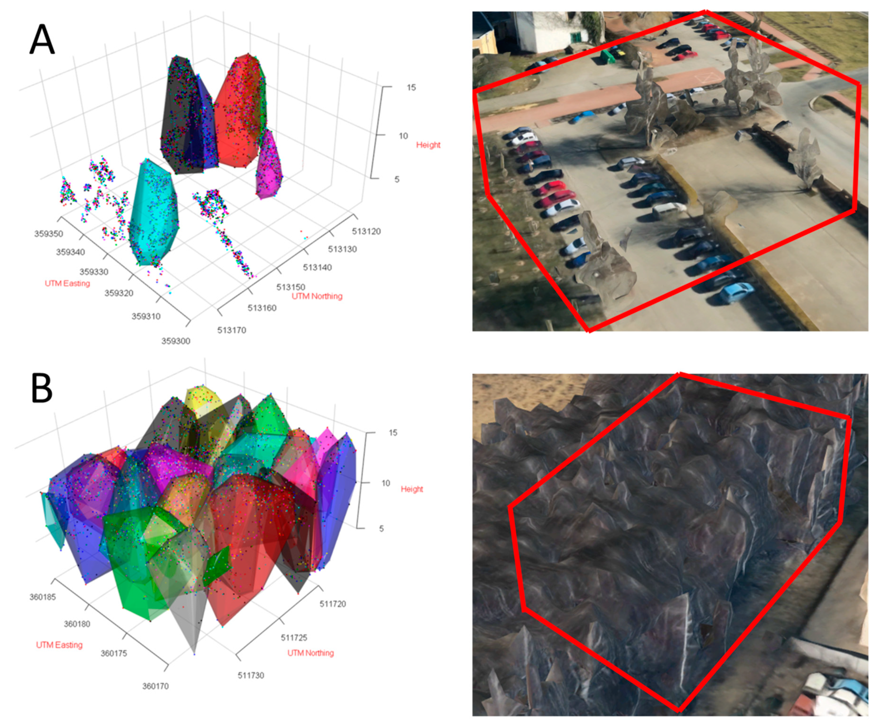 Forests 10 01154 g002