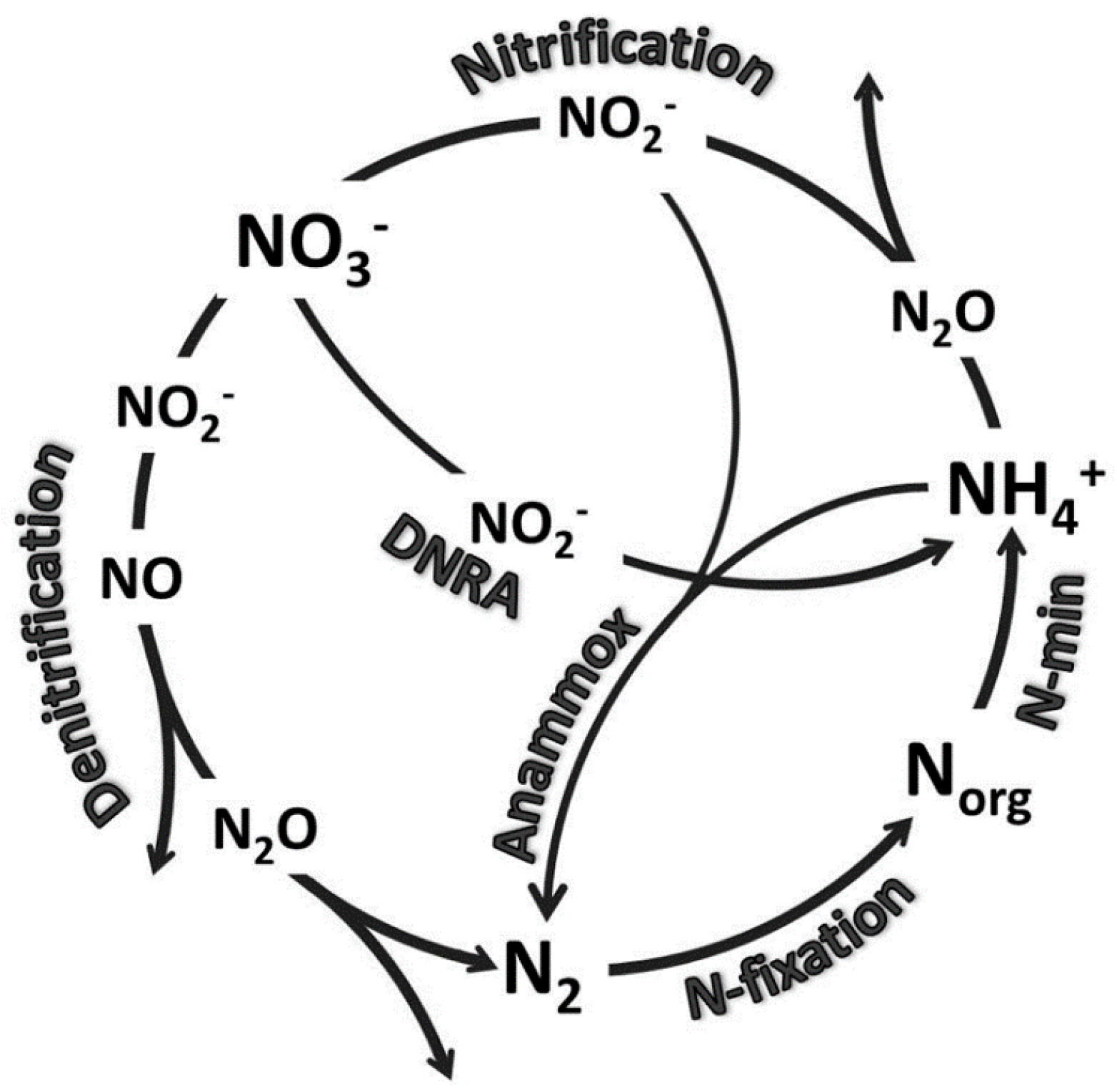Forests 10 01155 g001
