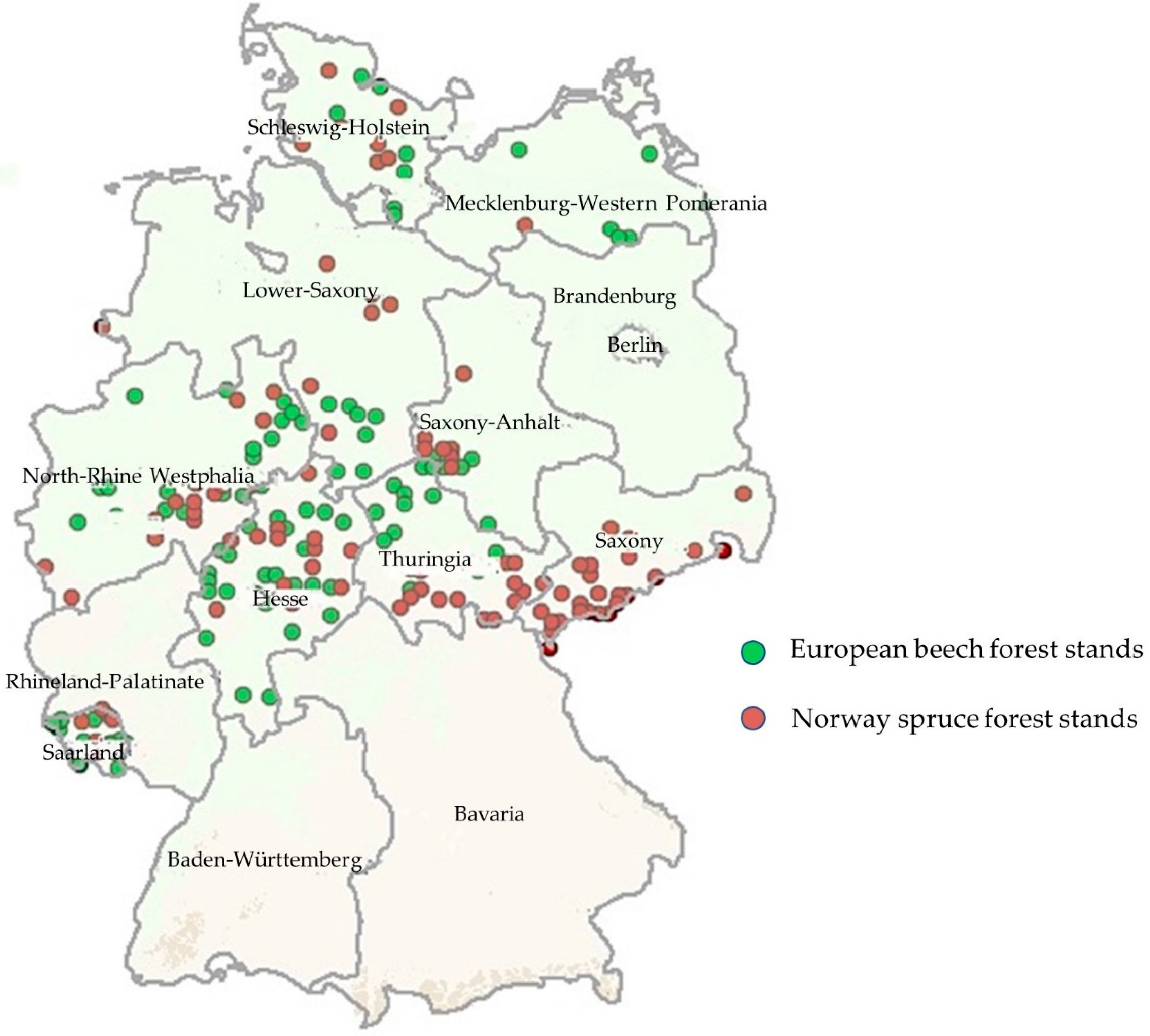 Forests 10 01156 g001