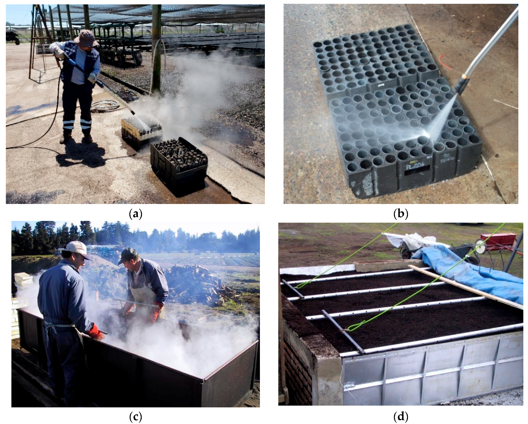 Forests 10 01158 g003