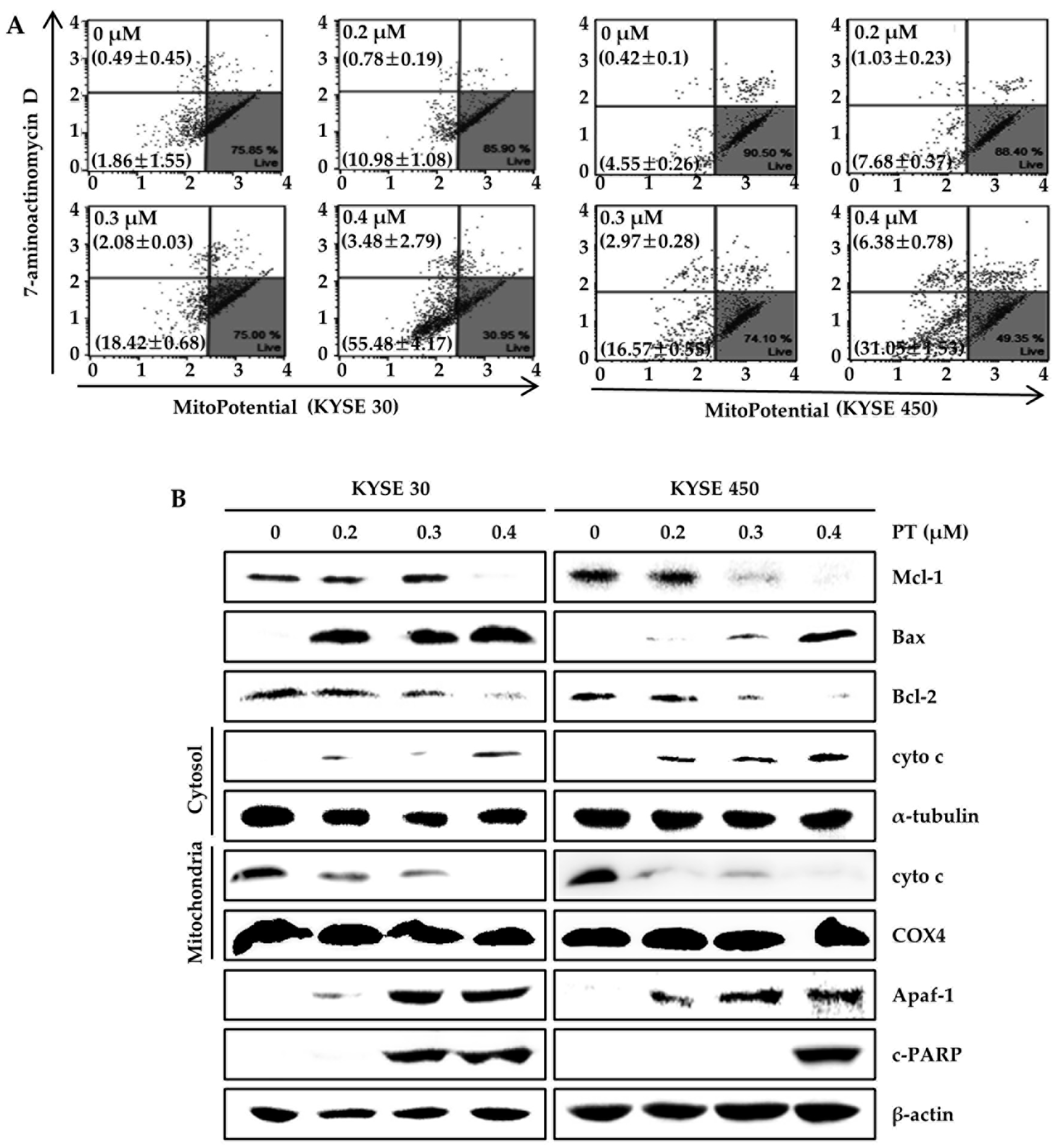 Forests 11 00008 g005 Forests 11 00008 g005