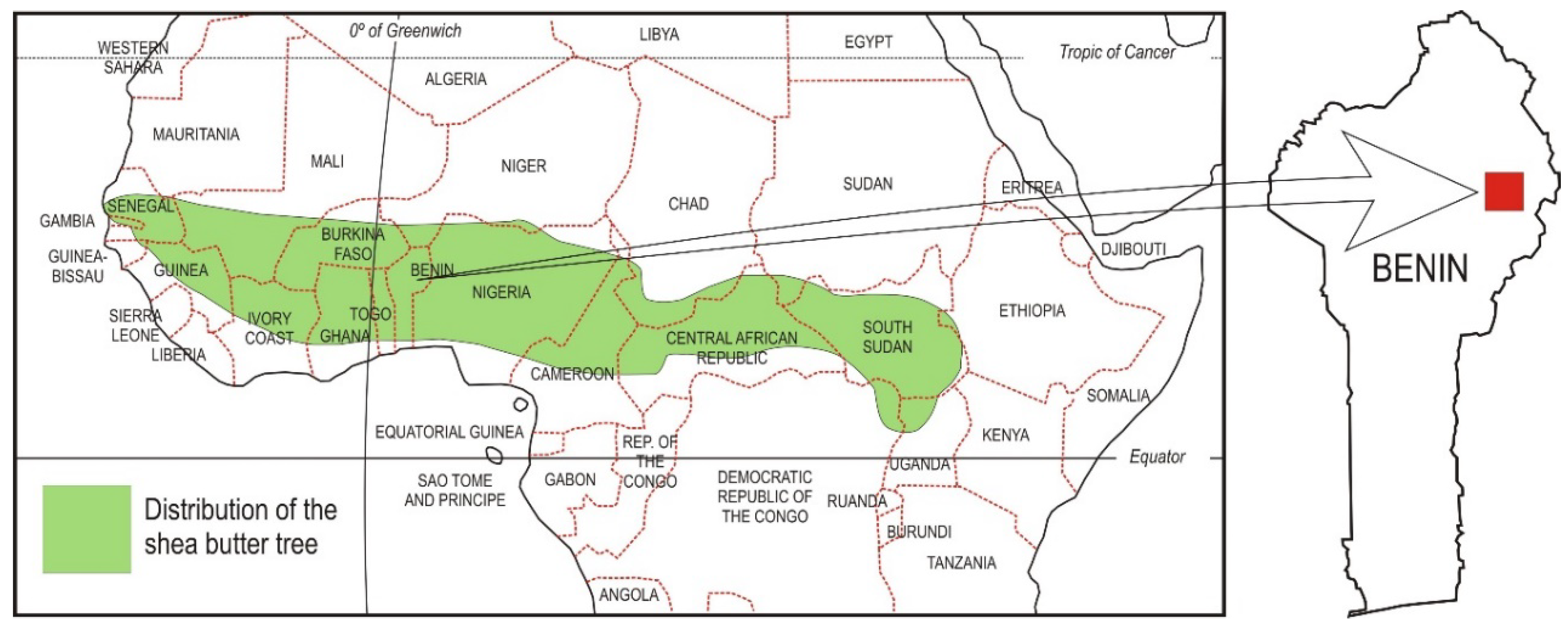 Forests 11 00013 g001