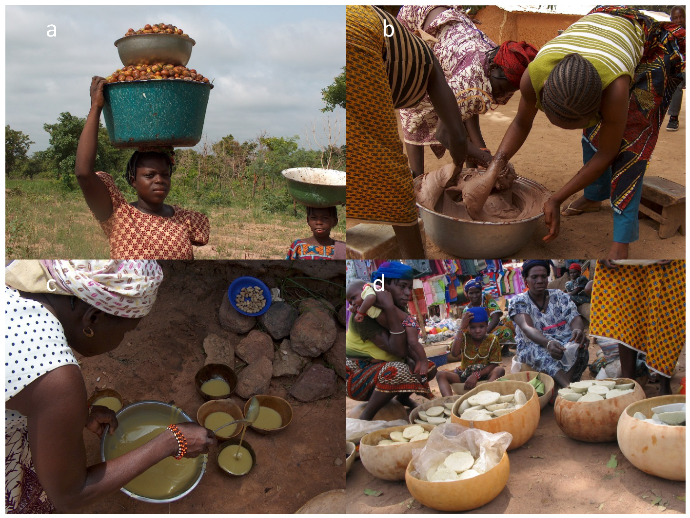 Forests 11 00013 g002