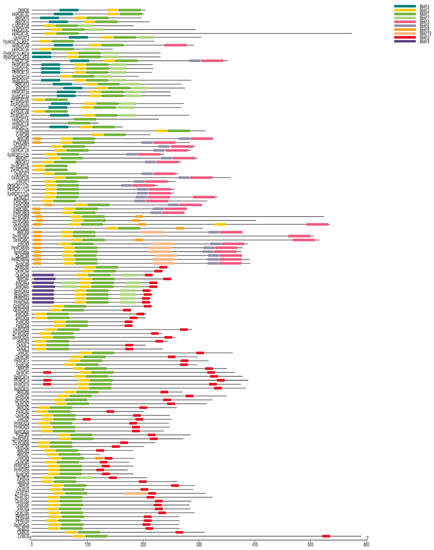 Forests 11 00016 g0a1
