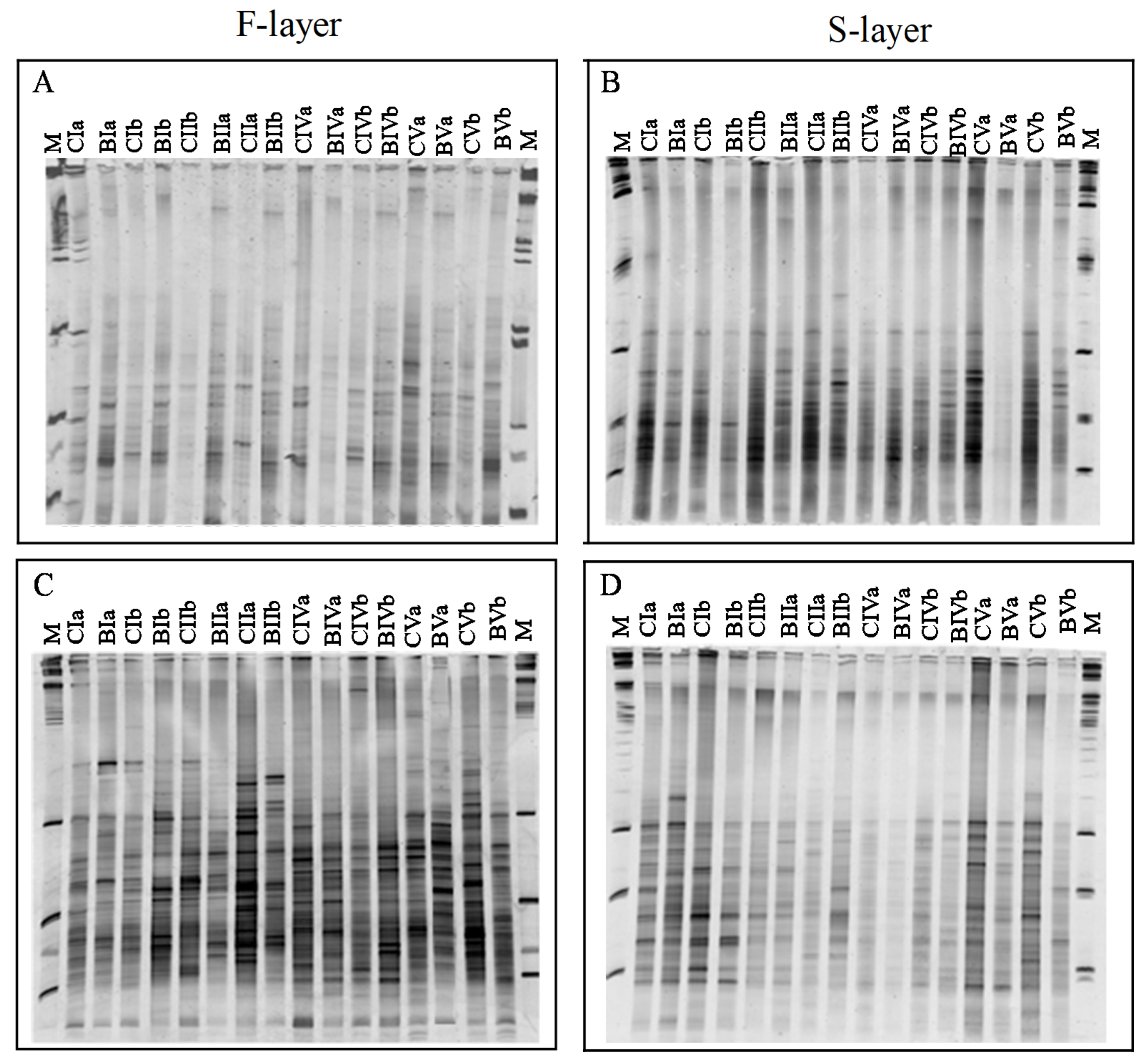 Forests 11 00019 g004