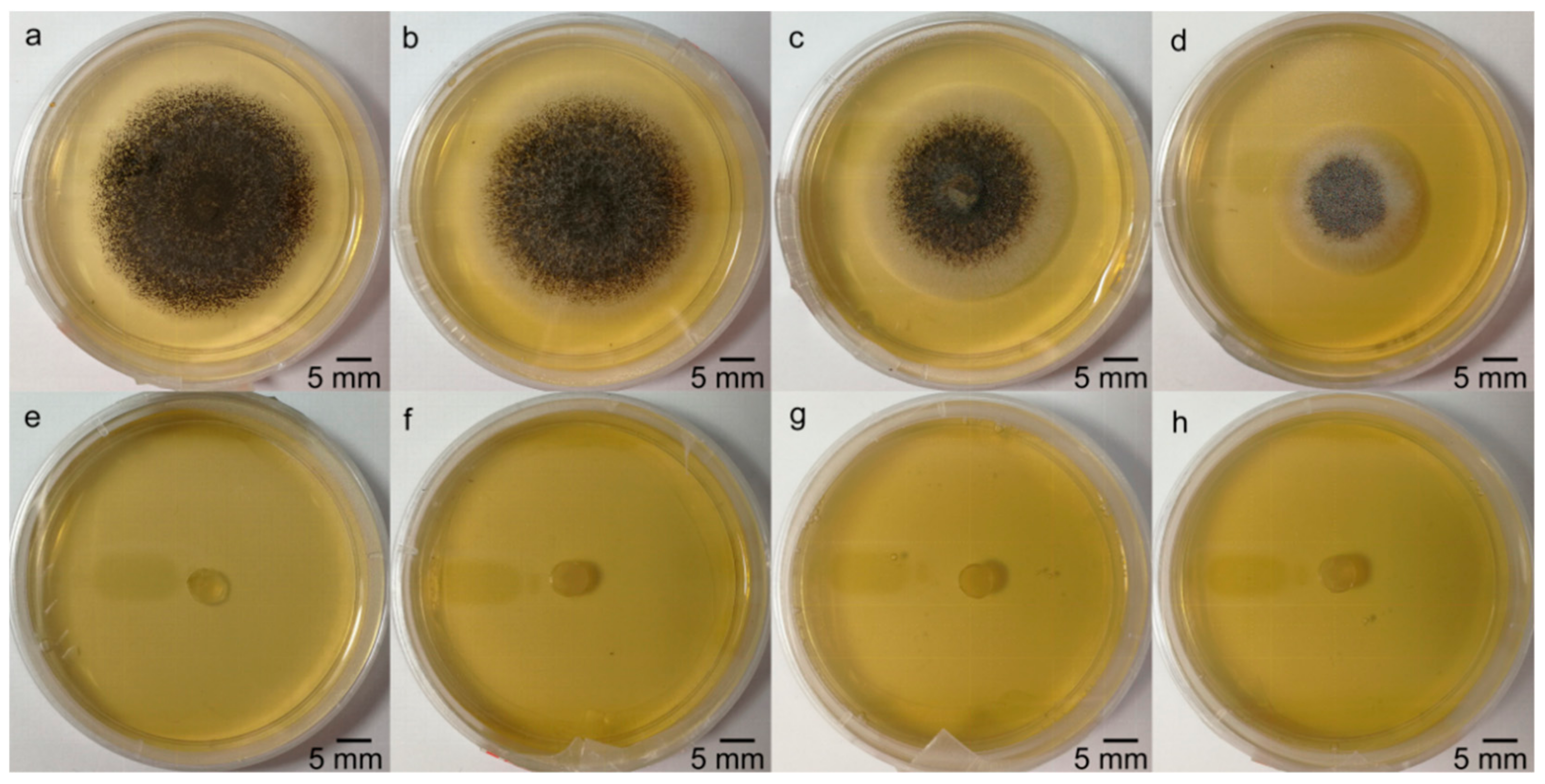 Forests 11 00034 g008