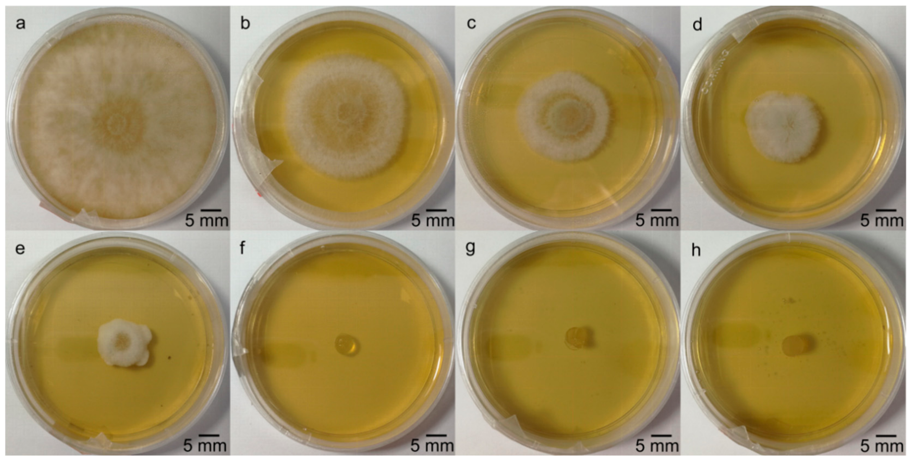 Forests 11 00034 g009