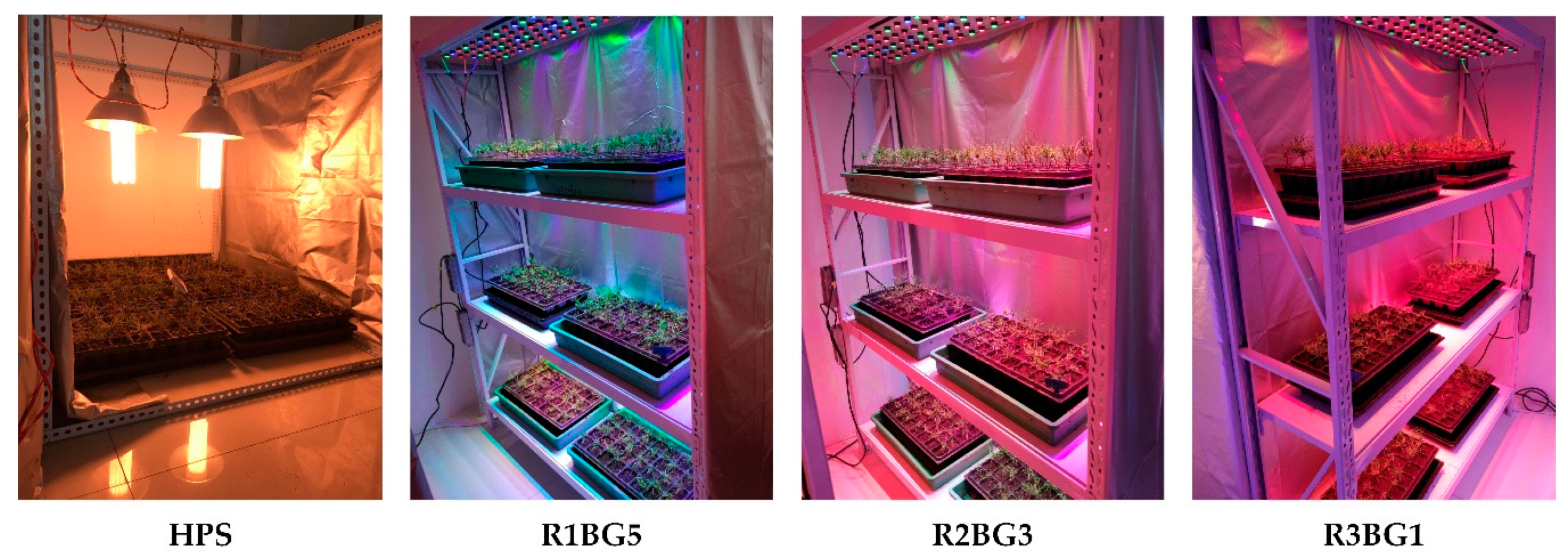 Forests 11 00044 g001 Forests 11 00044 g001