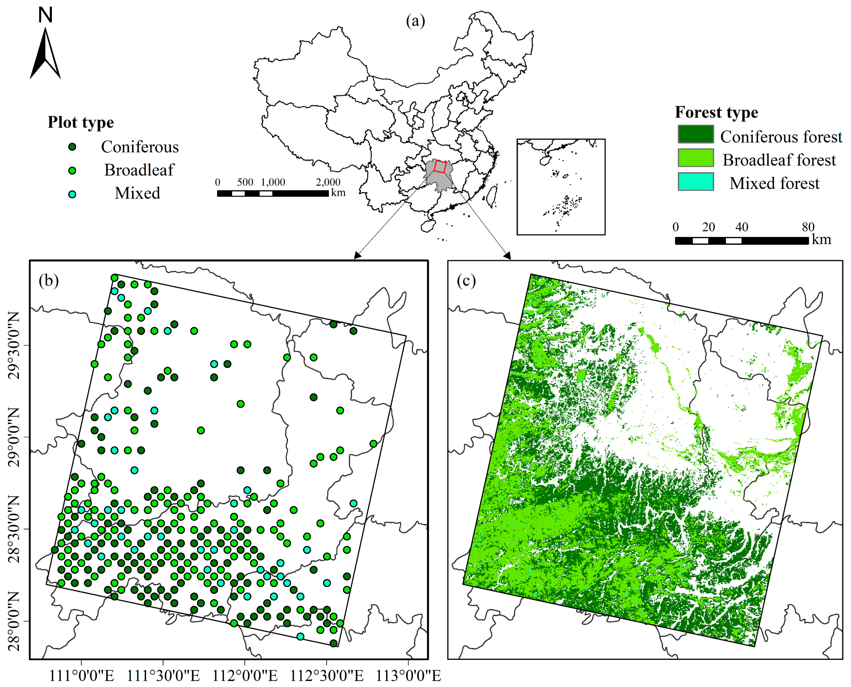 Forests 11 00045 g001 Forests 11 00045 g001