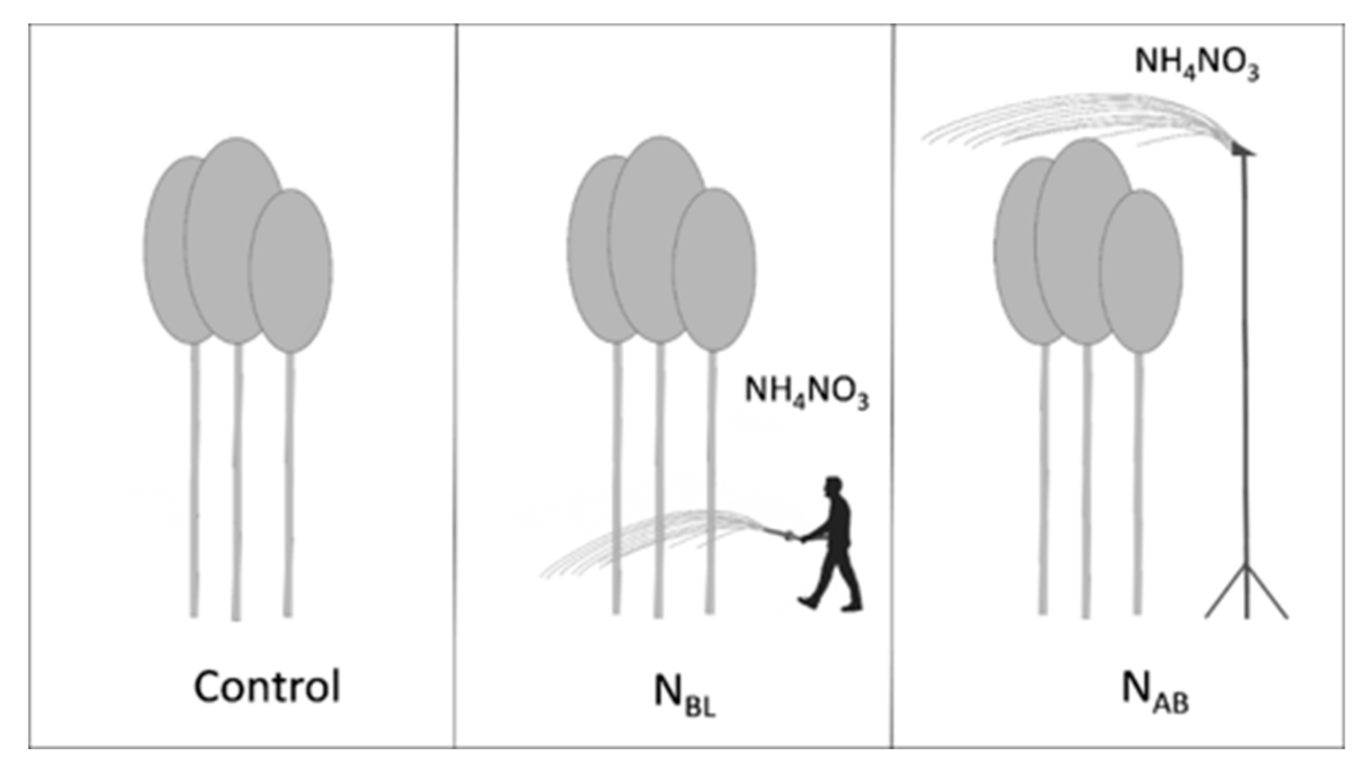 Forests 11 00047 g002