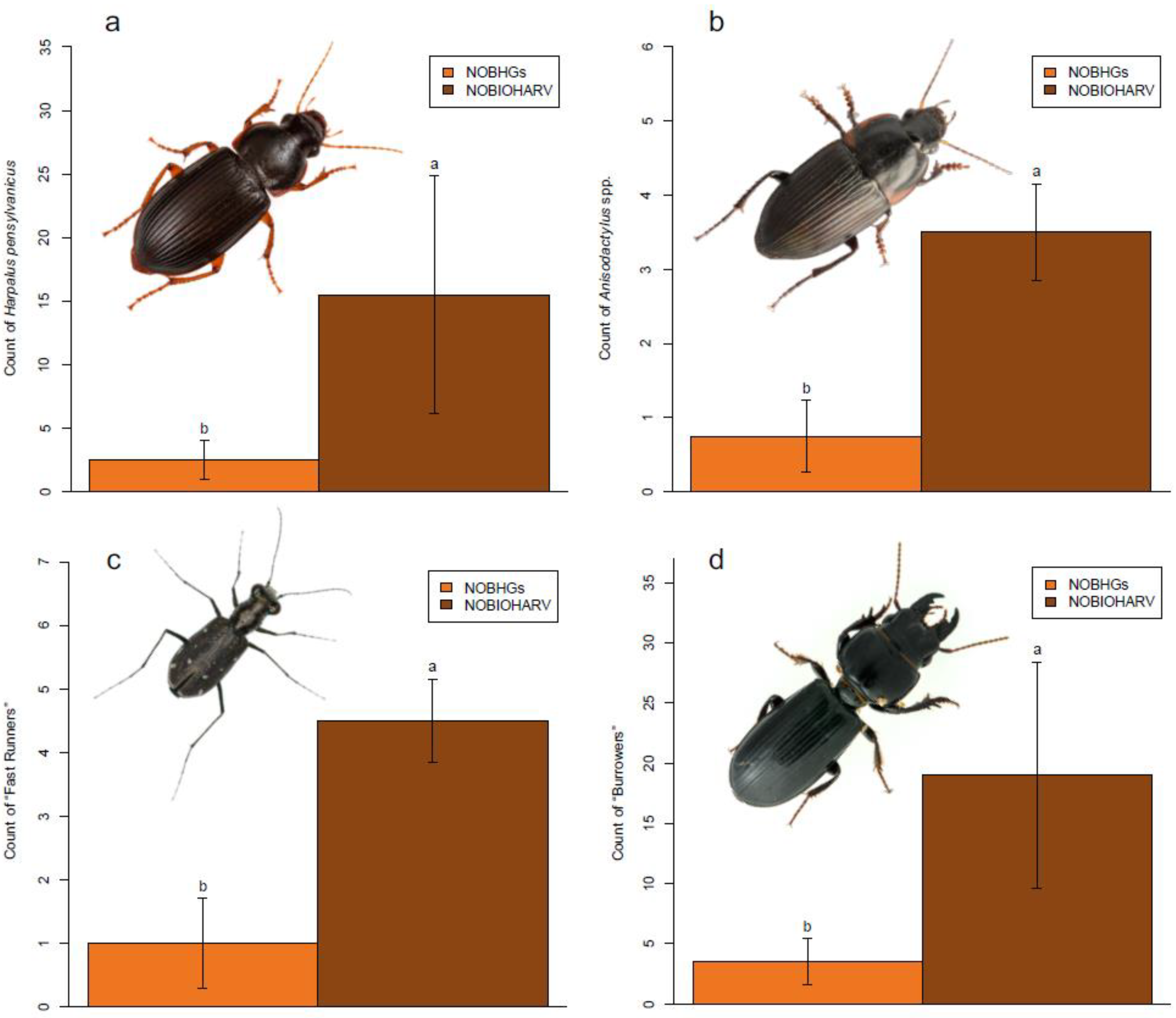 Forests 11 00048 g003