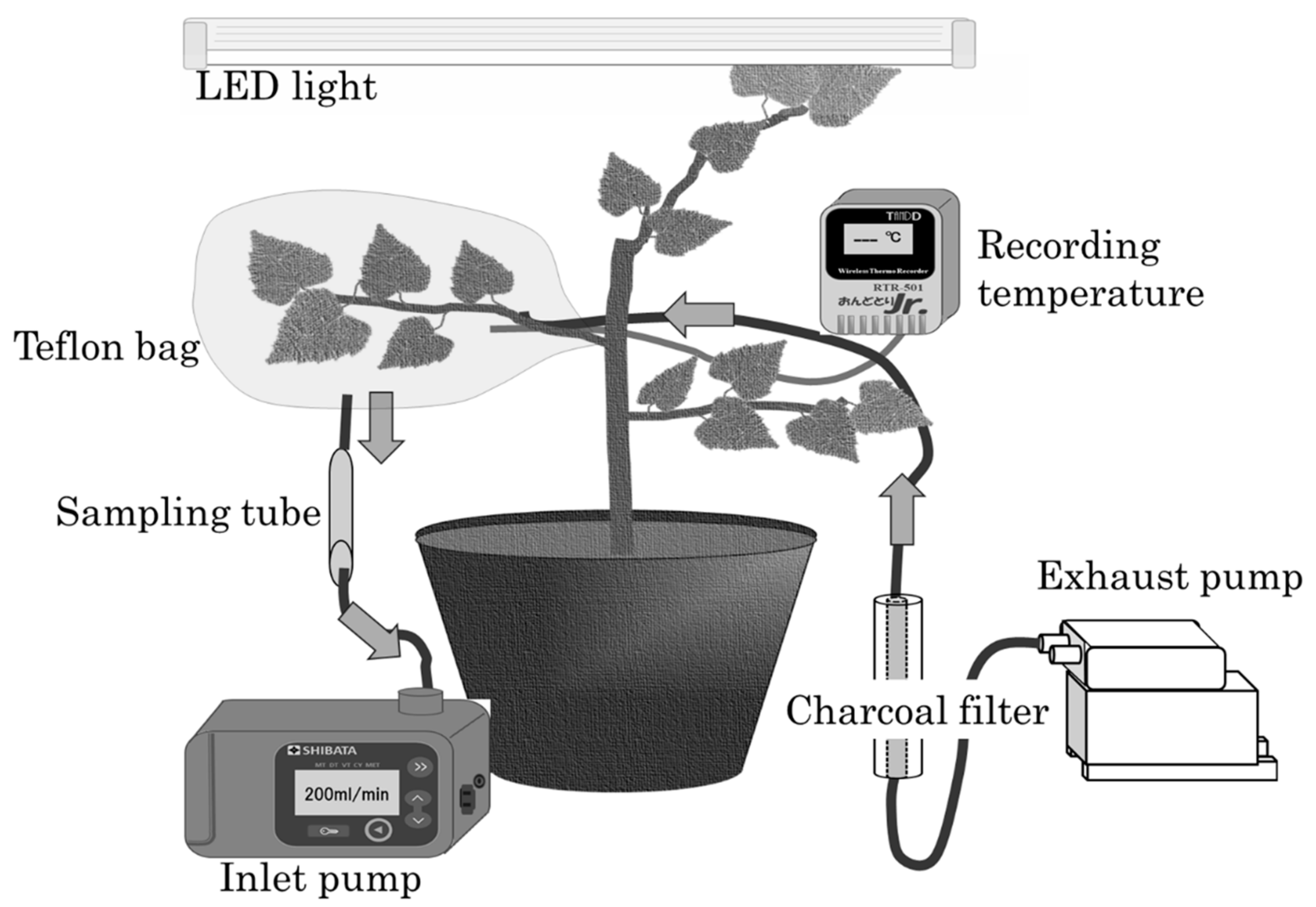 Forests 11 00058 g002 Forests 11 00058 g002