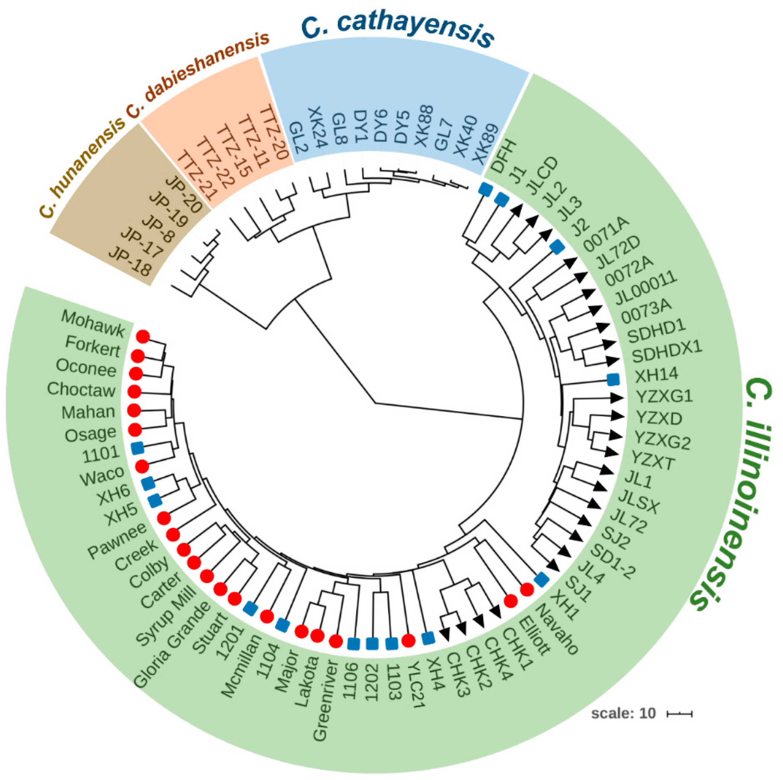 Forests 11 00061 g004 Forests 11 00061 g004