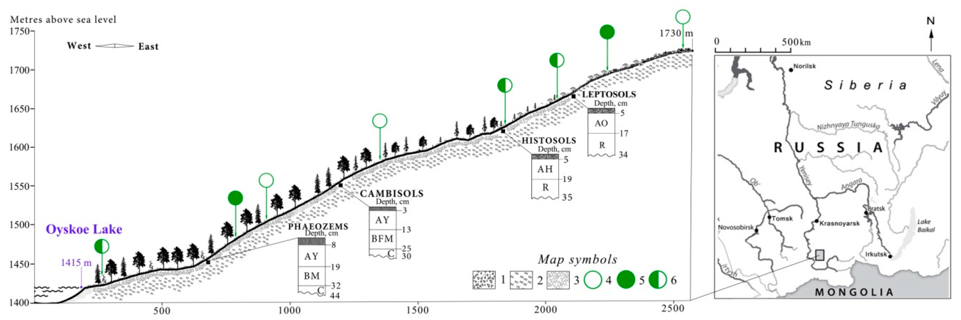 Forests 11 00063 g001