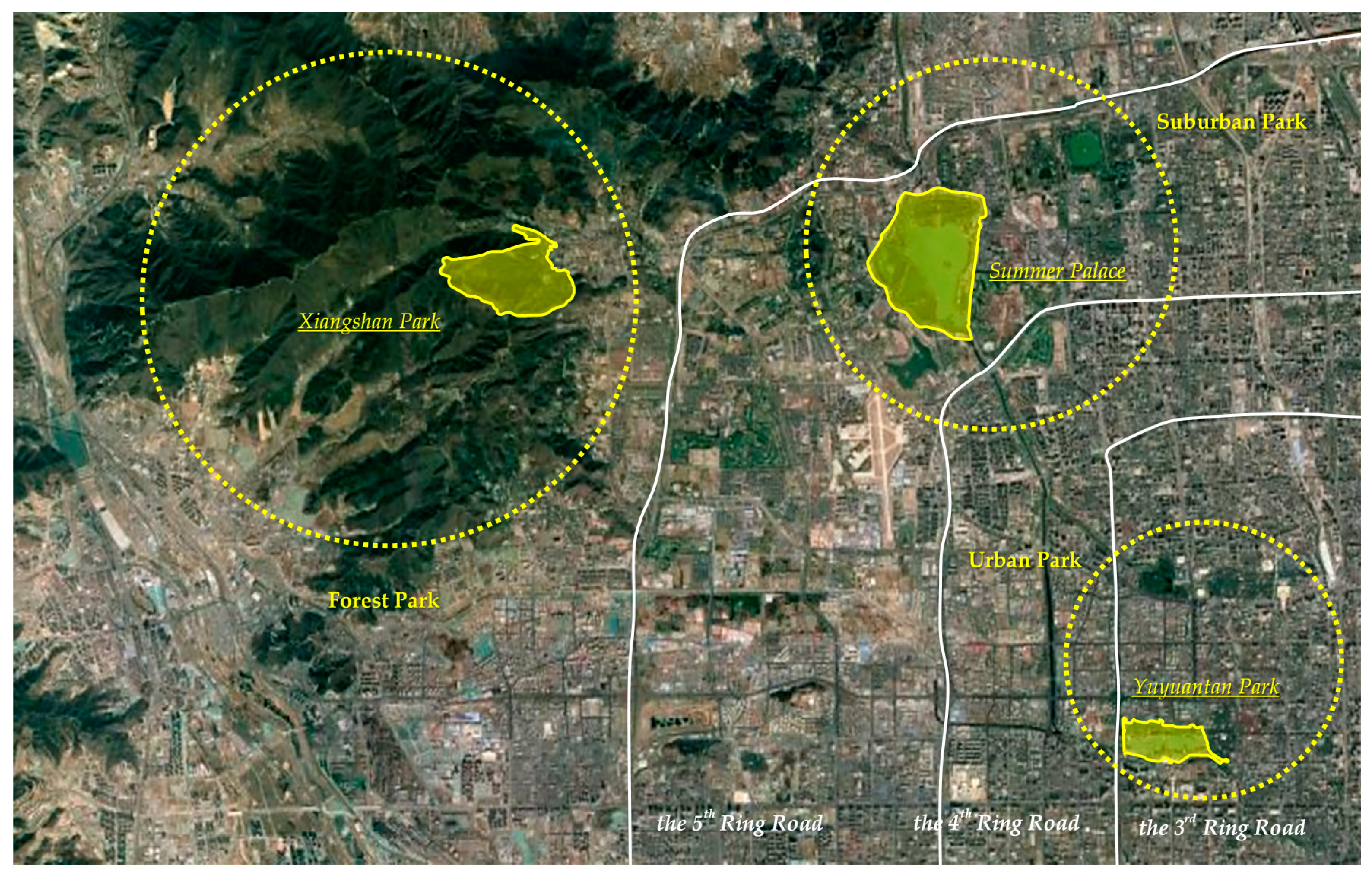 Forests 11 00064 g001